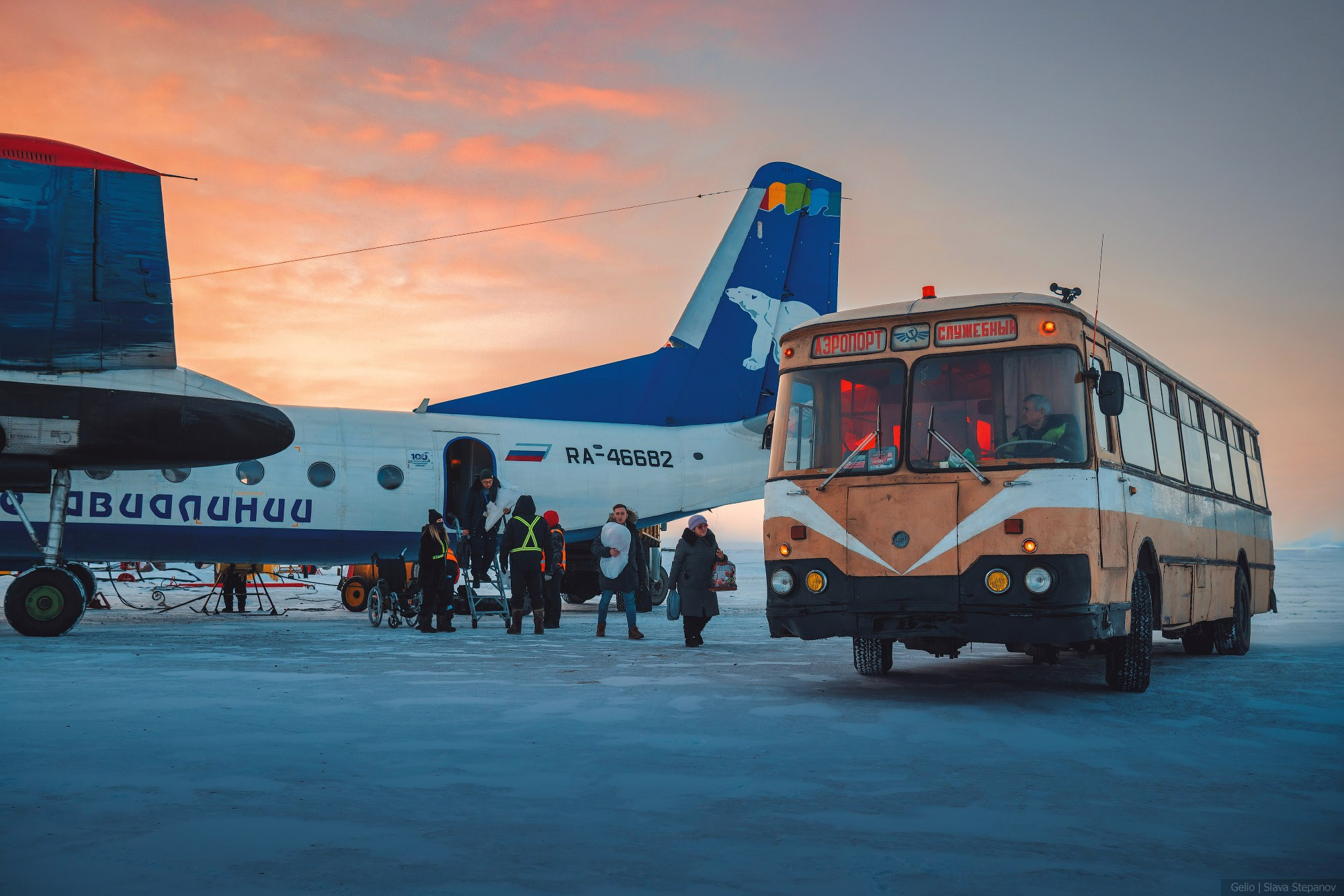 Аваиция. Фотограф Слава Степанов, Gelio