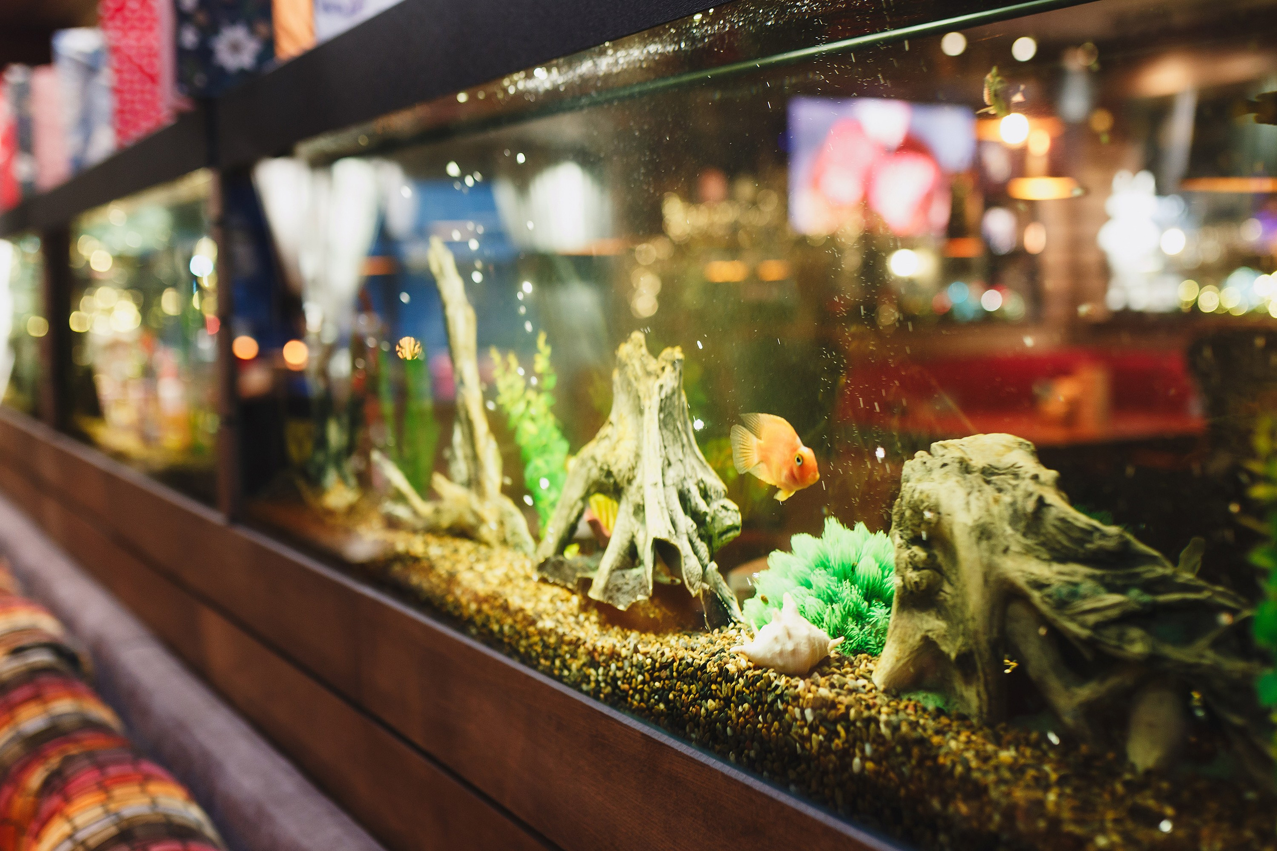 ИНТЕРЬЕР. Roman Photo