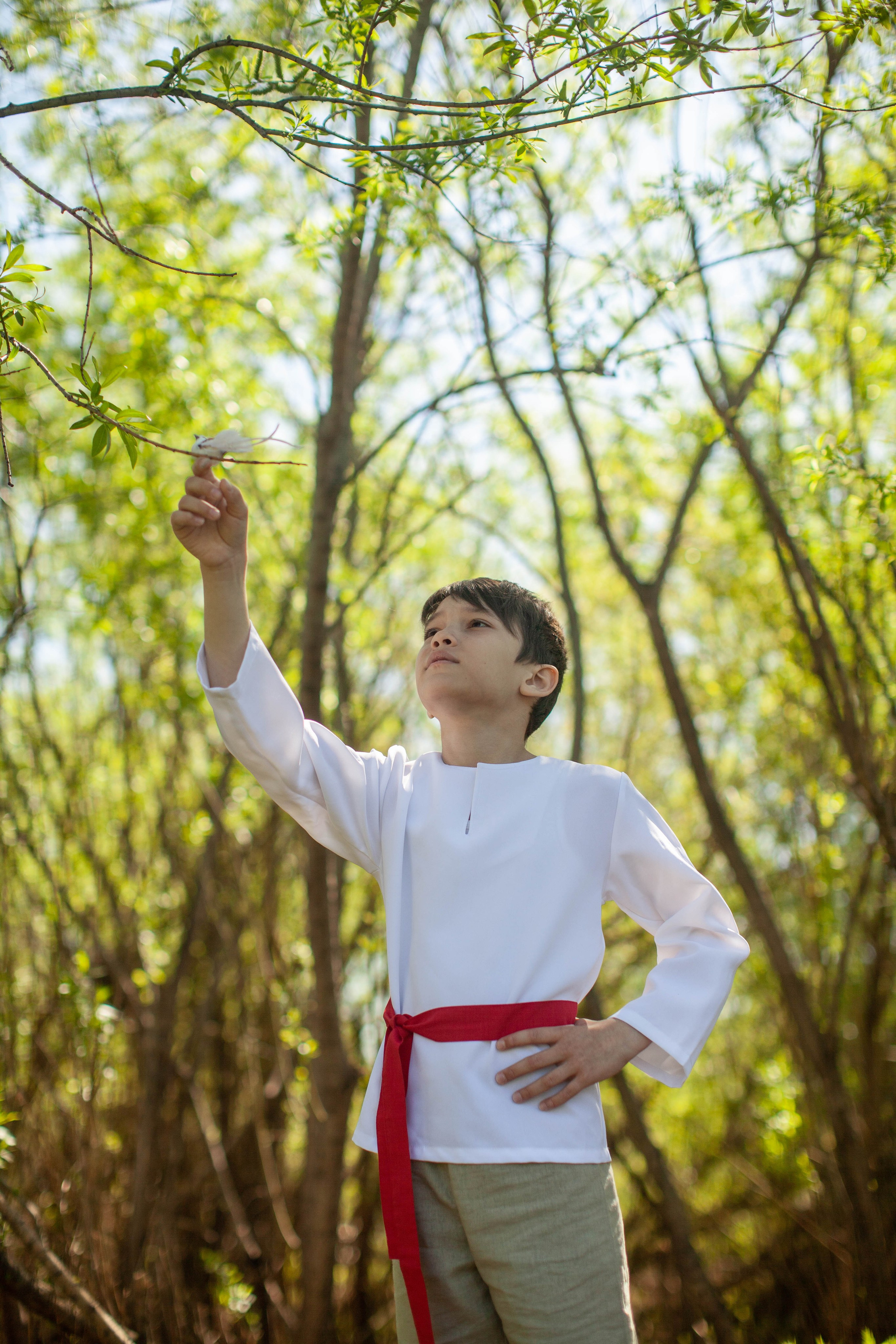 Летний день. Art my Pho