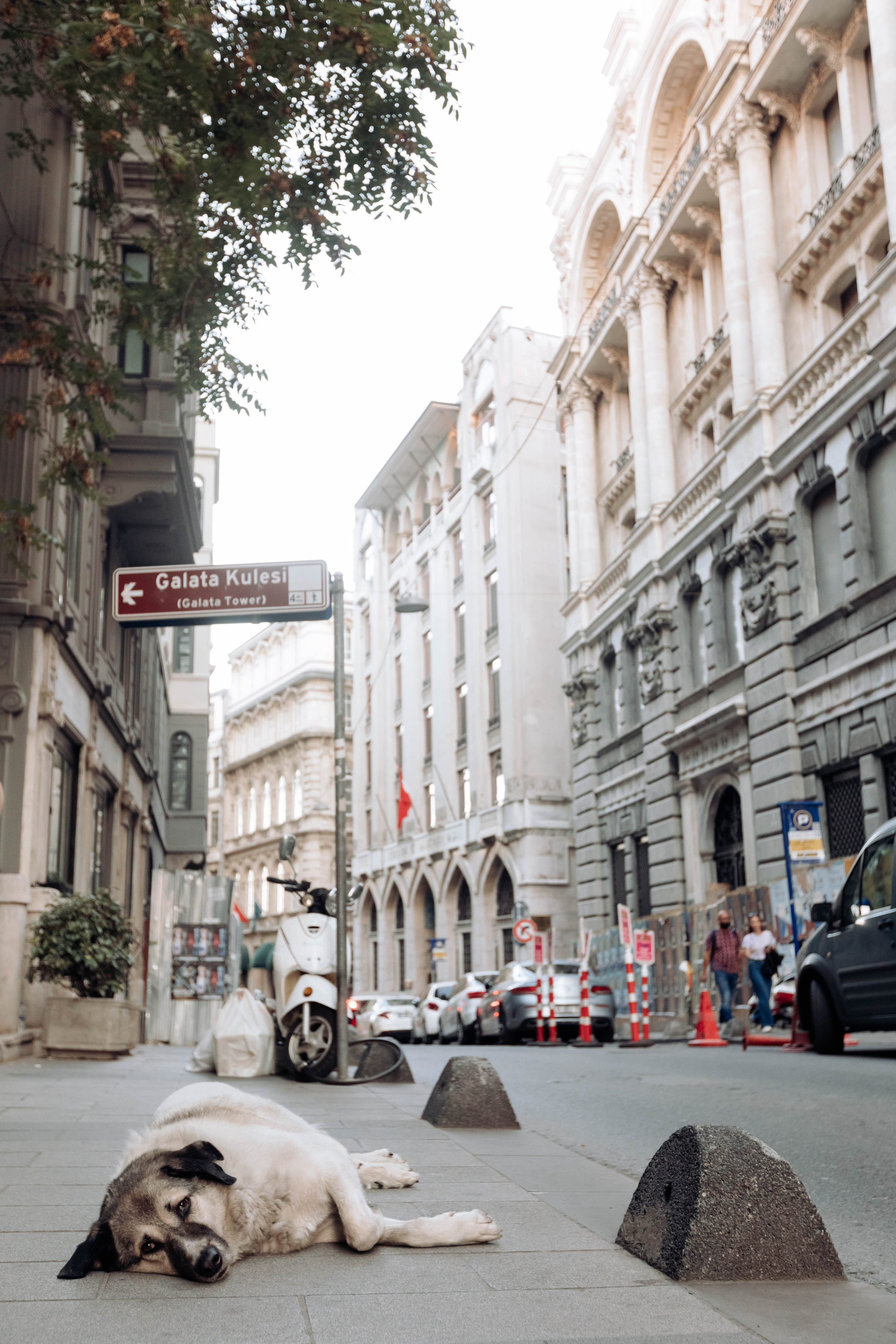 Istanbul. Katerina Spekhova