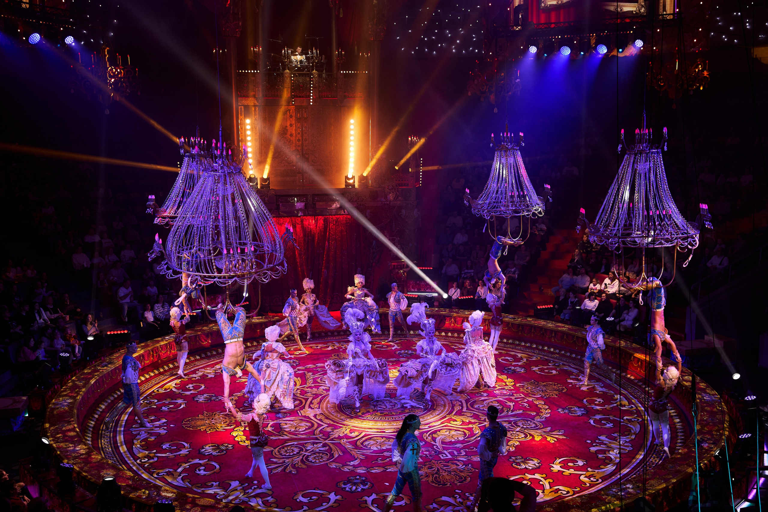 Королевский цирк Гии Эрадзе. Свадебный и семейный фотограф