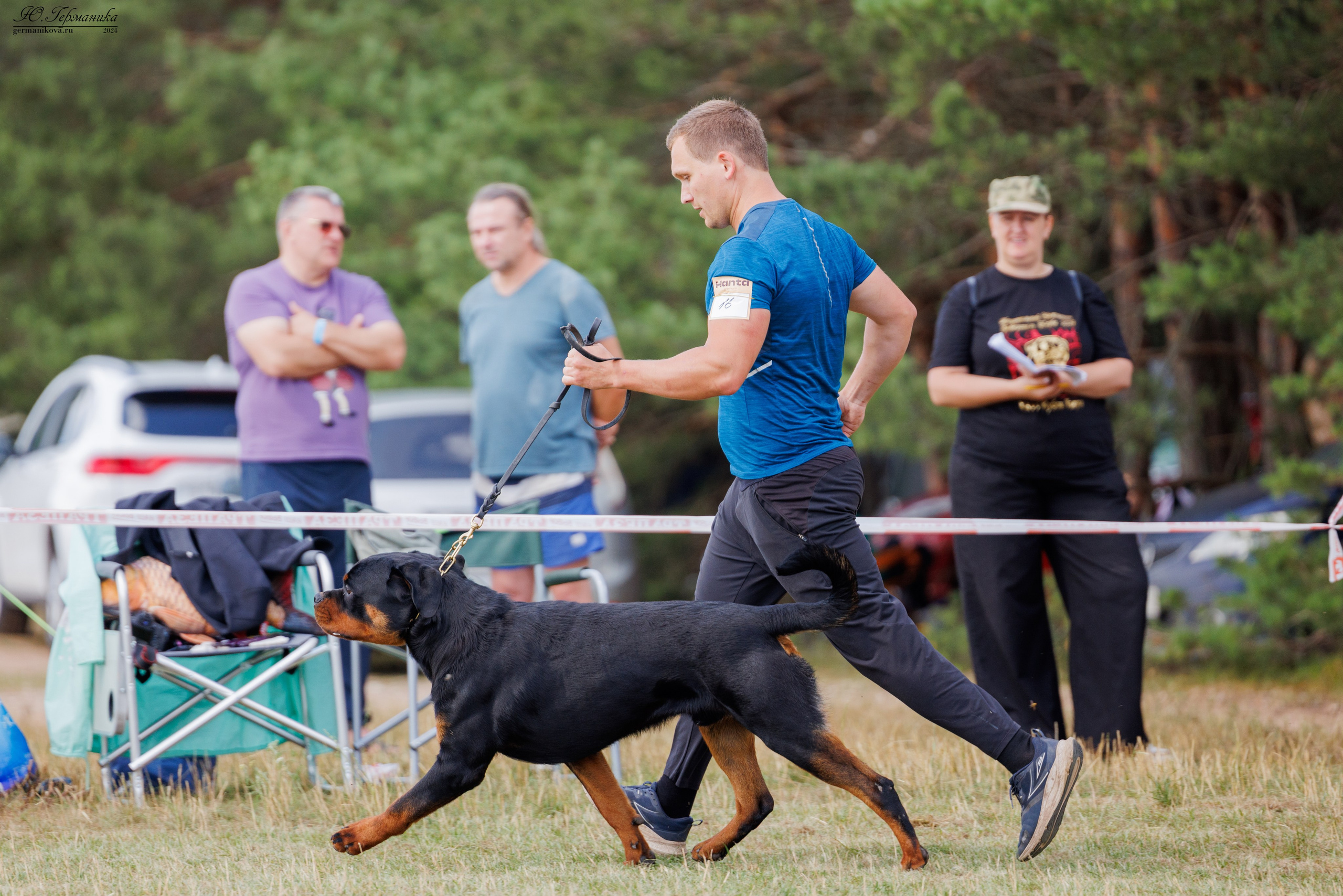 ПК и КЧК ротвейлеры Тверь 6-7.07.2024. Фотограф-анималист Юлия Германика