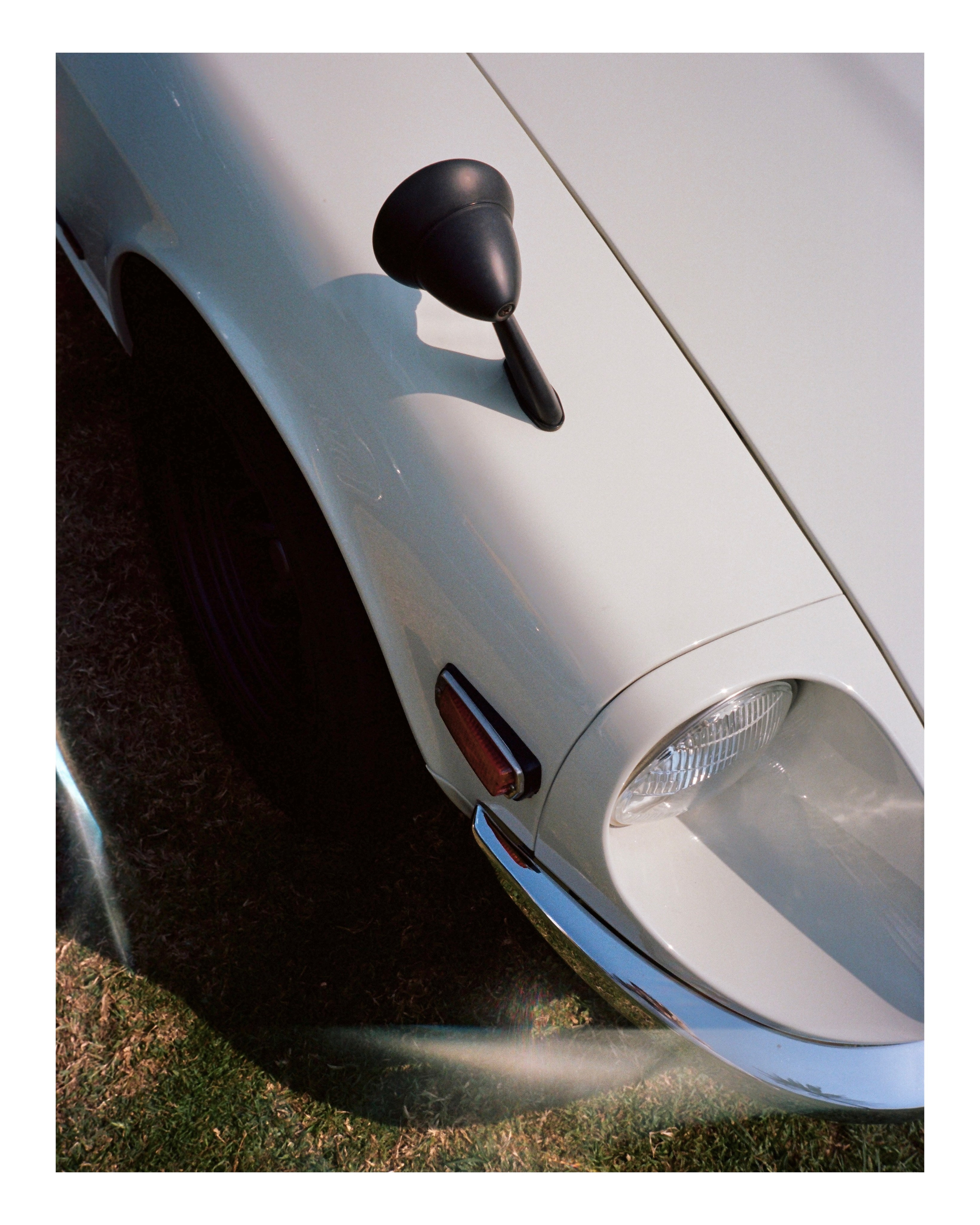 The Grand Picnic (35мм). Katyavasileva