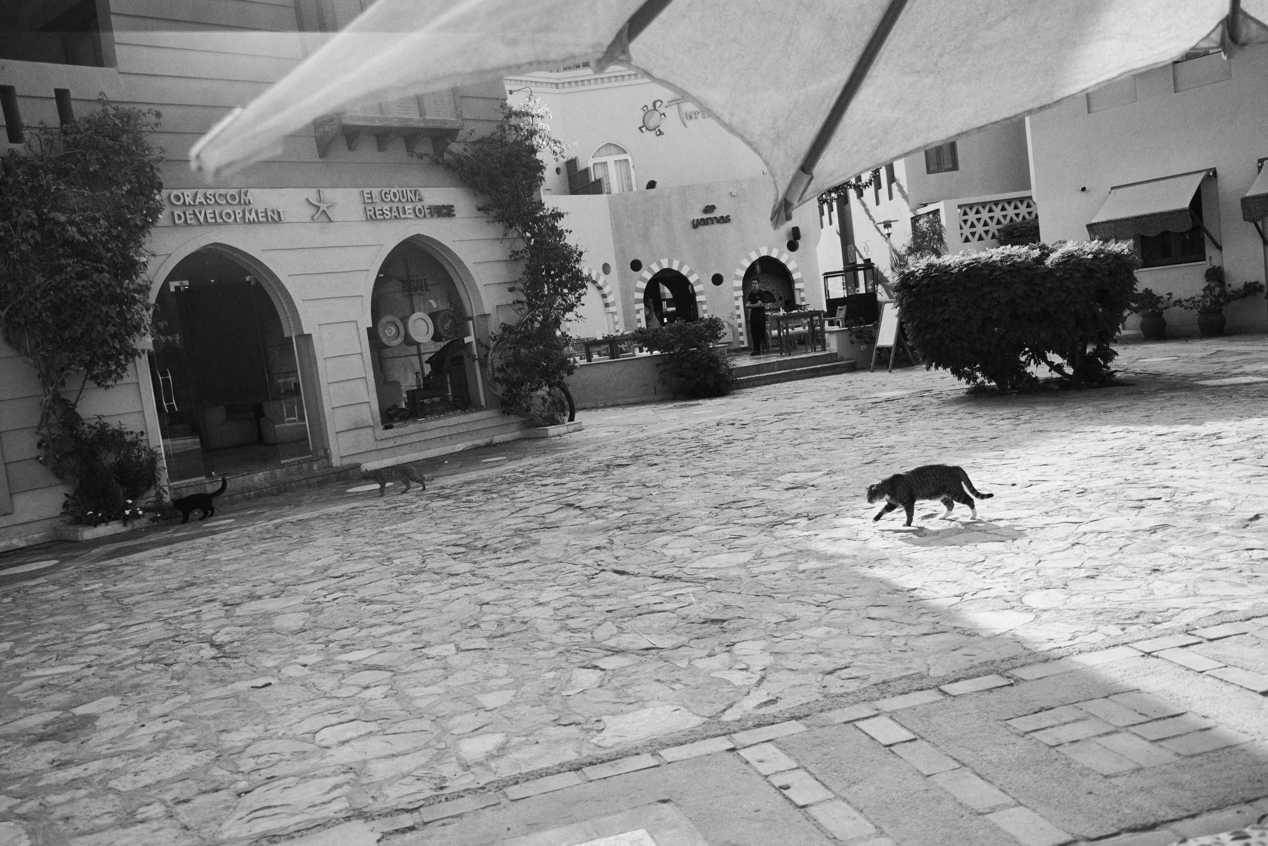 Другое 3. Jorgis — фотограф в Хургаде / обучение фотографии