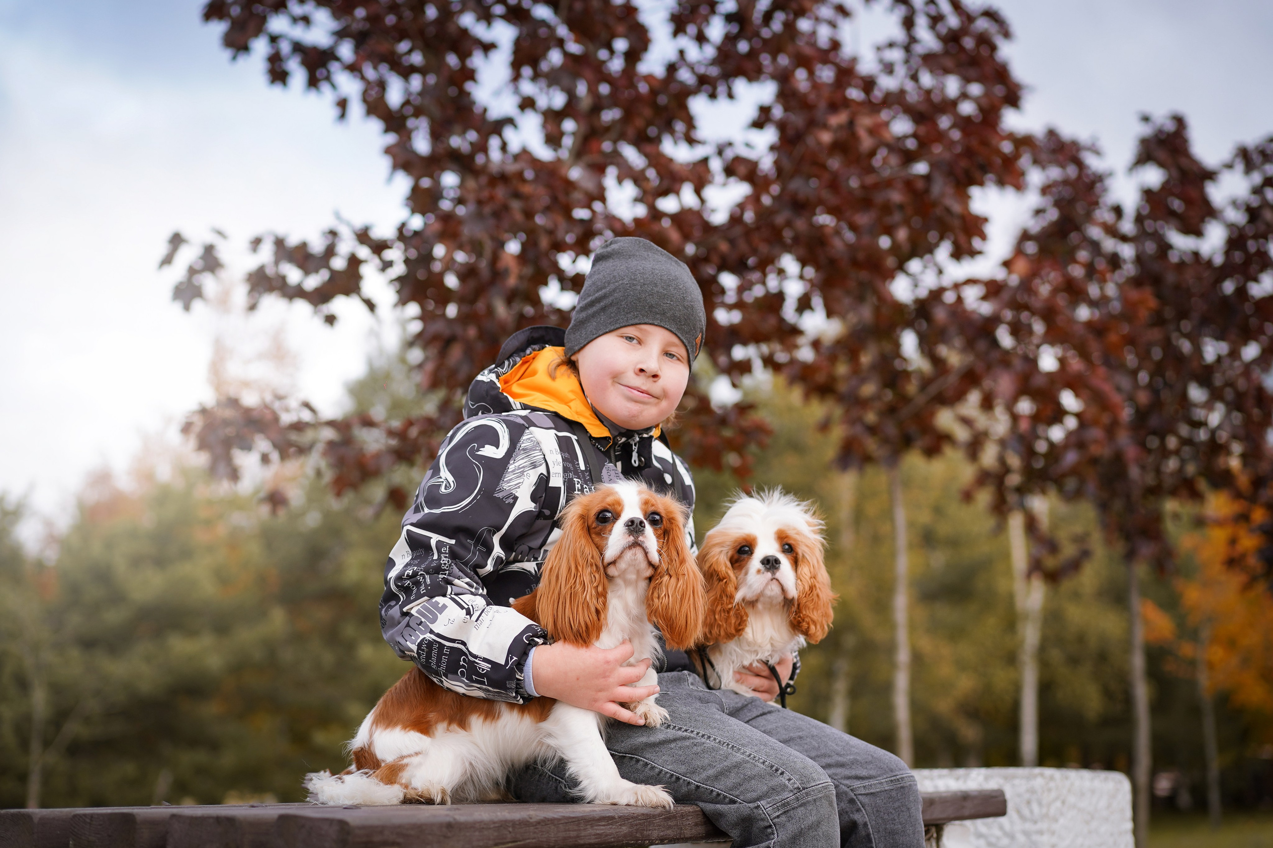 Катя Валера Саша и кавалерчики. Фотограф-анималист в Санкт-Петербурге Яна Мартынова