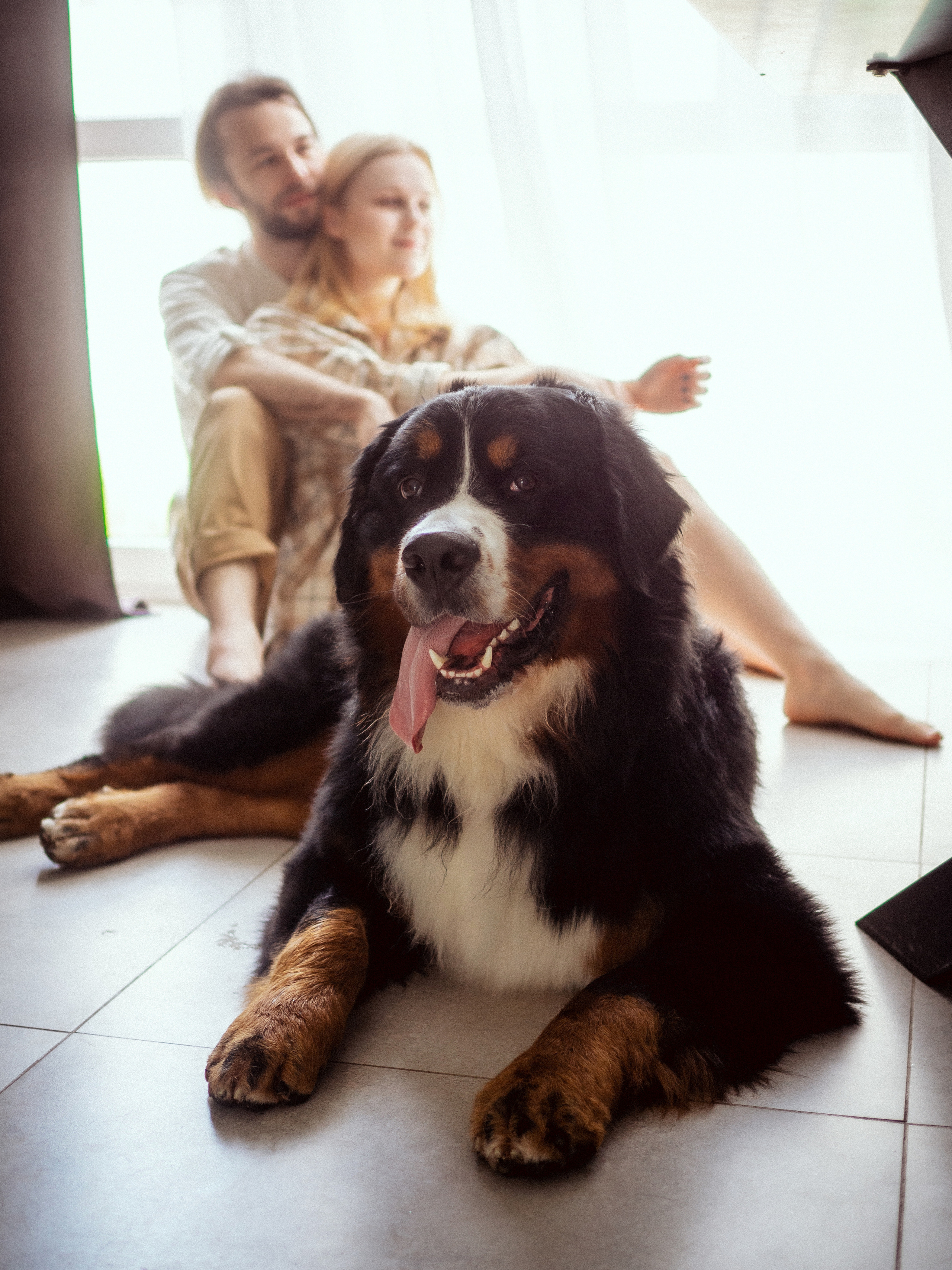 Даниил, Кристина и Бруни. Кулишова Катерина — твой фотограф
