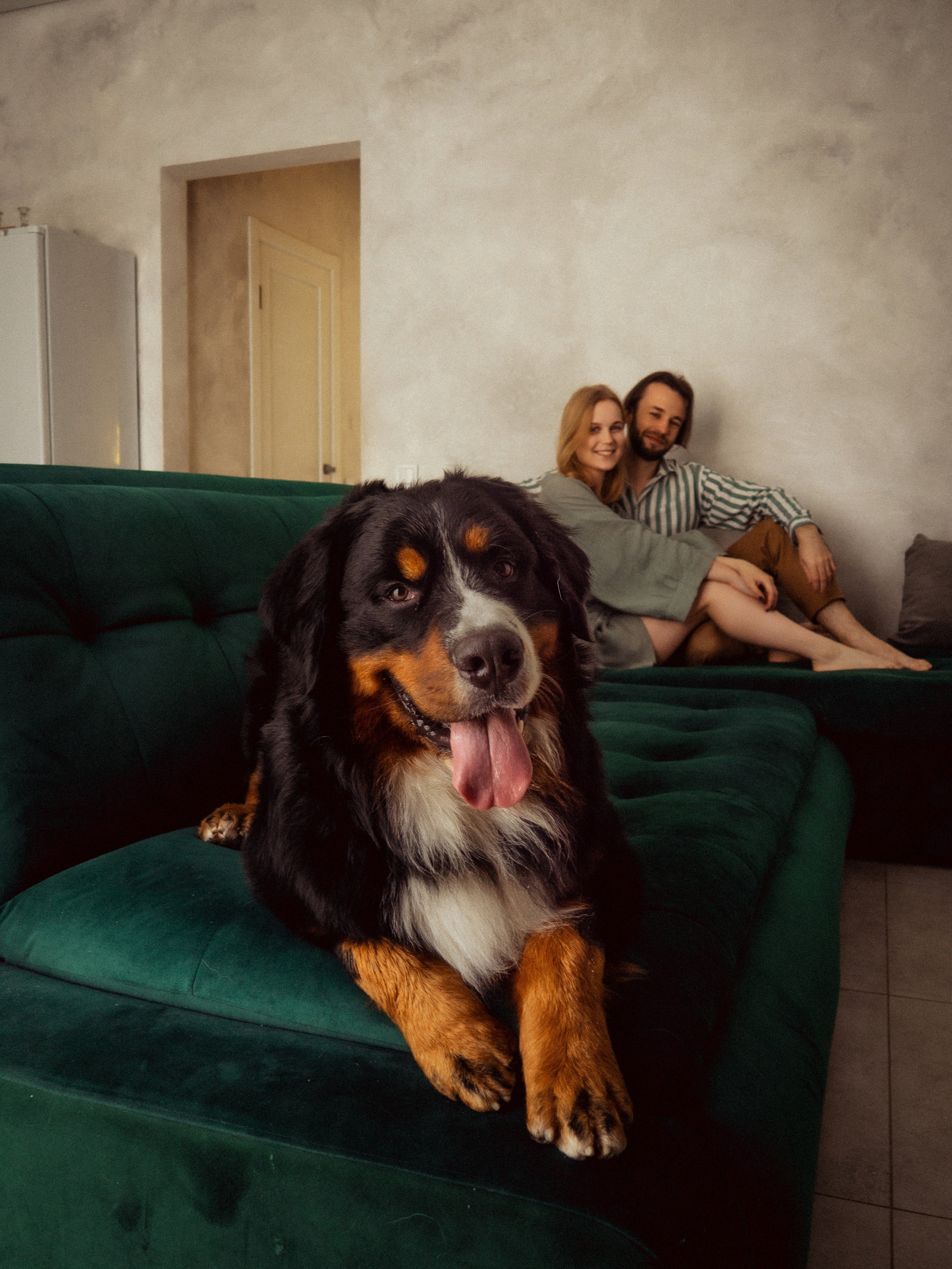 Даниил, Кристина и Бруни. Кулишова Катерина — твой фотограф