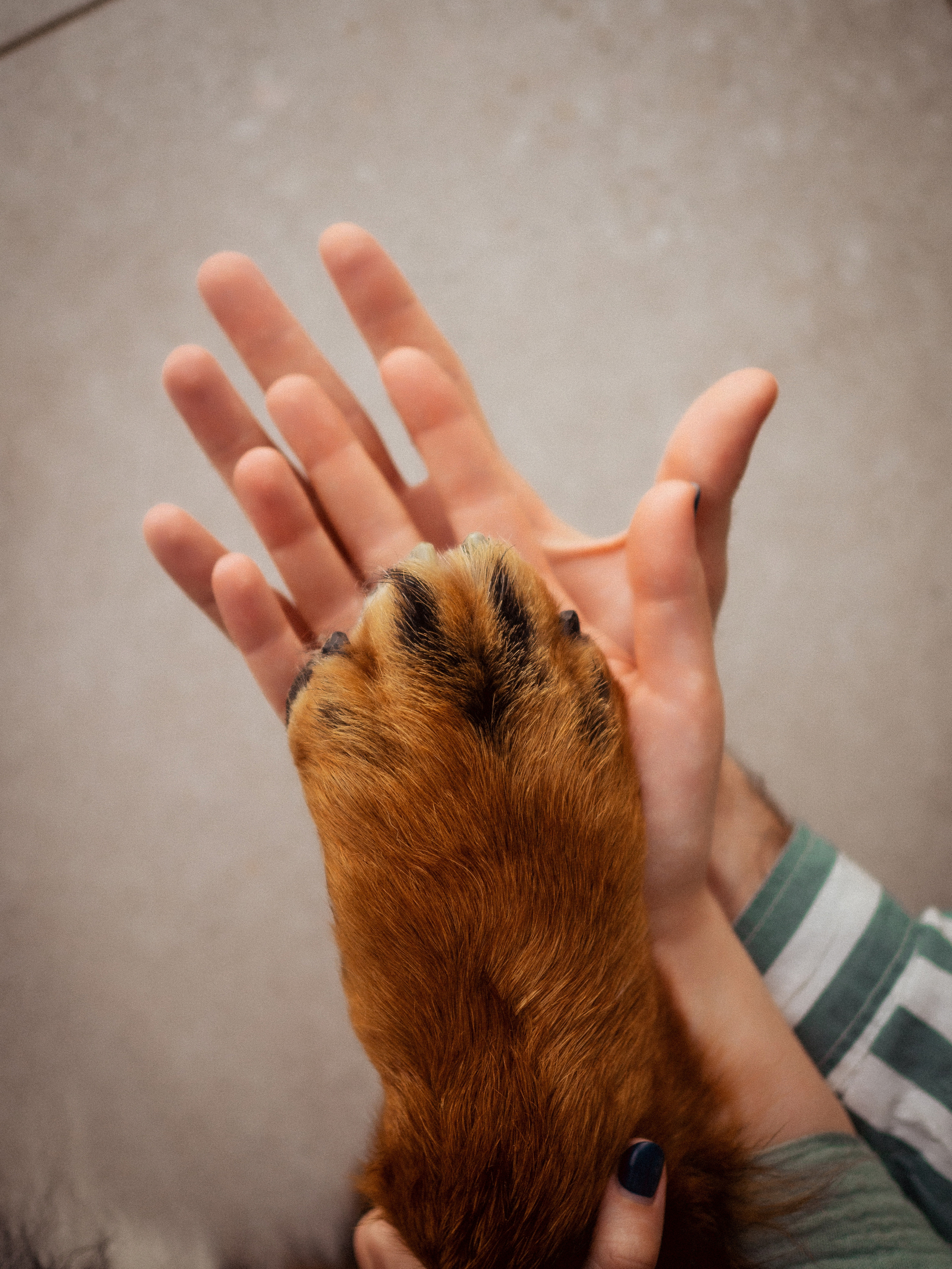 Даниил, Кристина и Бруни. Кулишова Катерина — твой фотограф