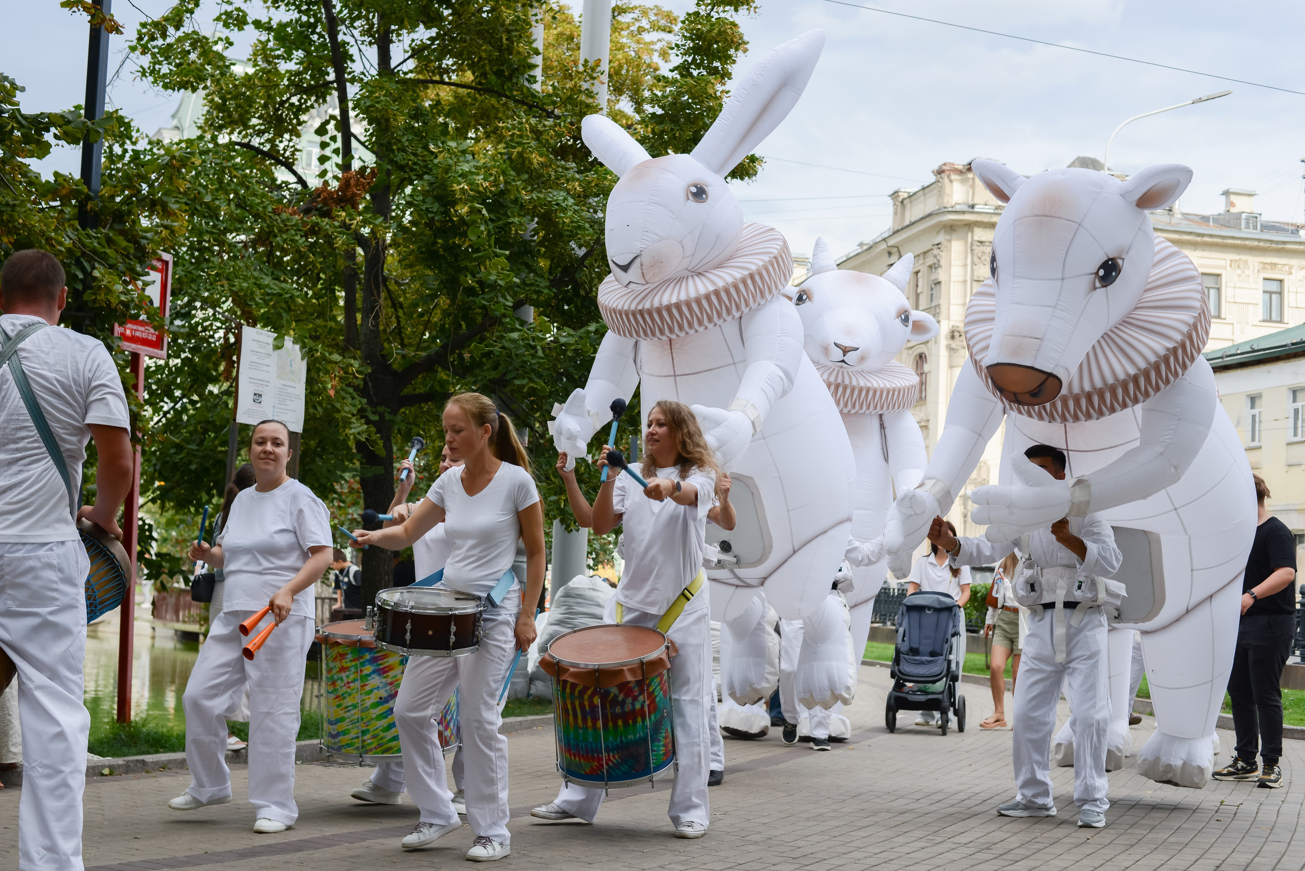 Барабанщики и зайчики. Rystemys Picture