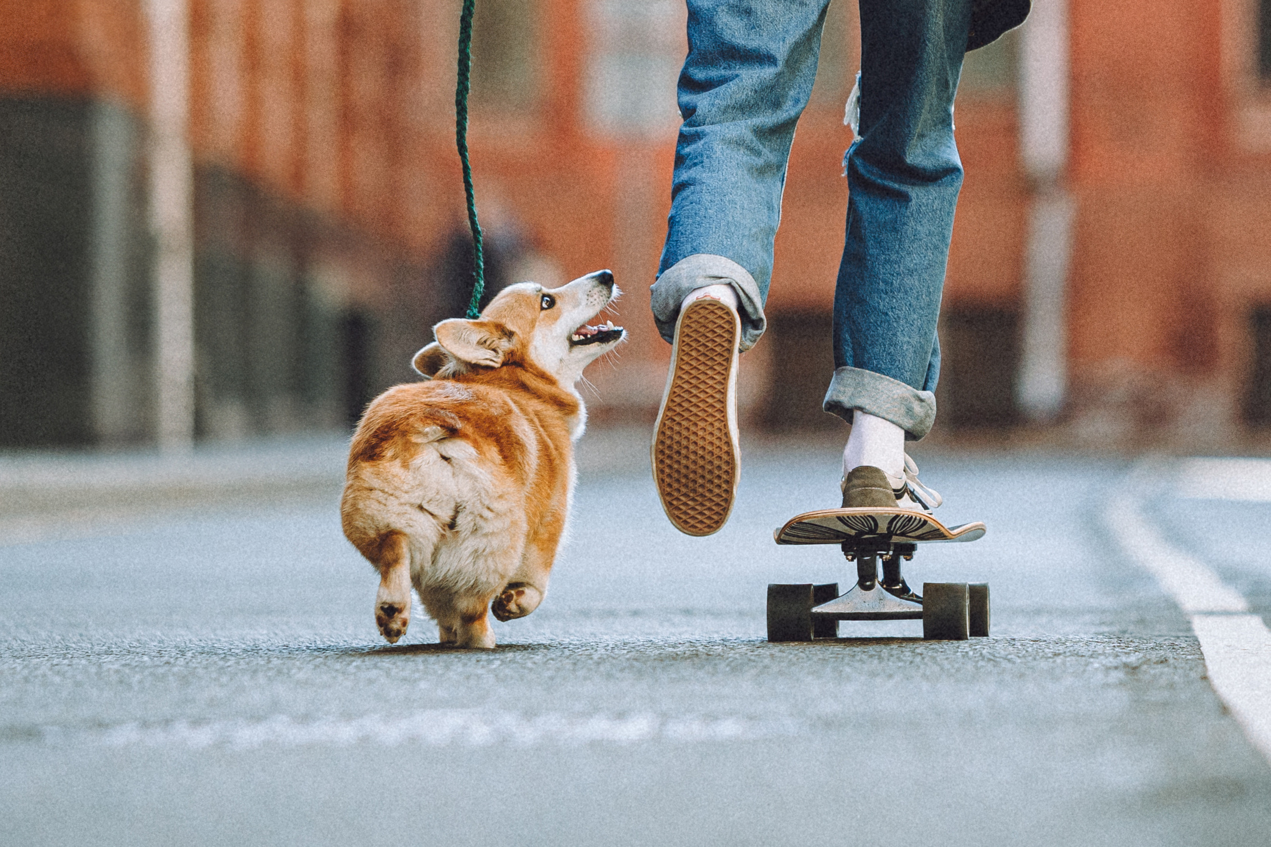 Маша и Нейси