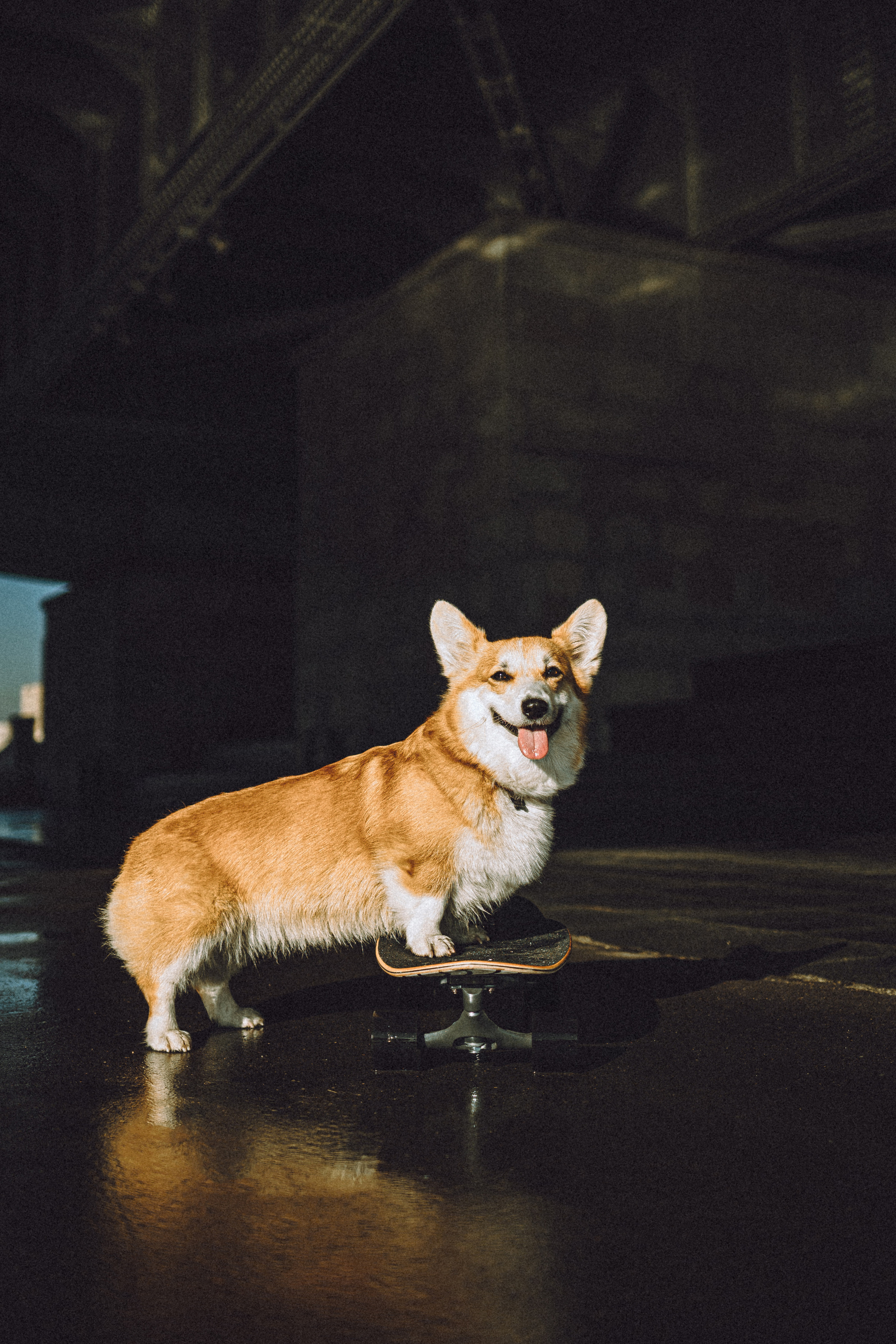 Маша и Нейси