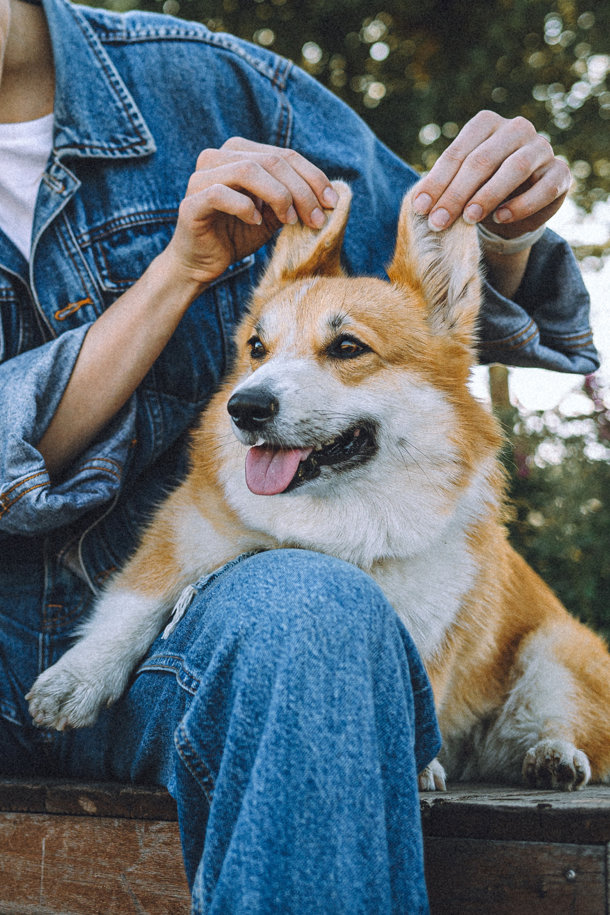 Маша и Нейси
