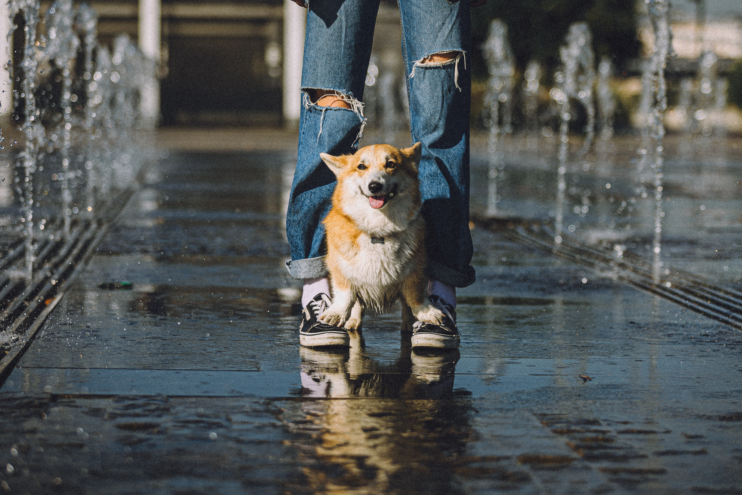 Маша и Нейси