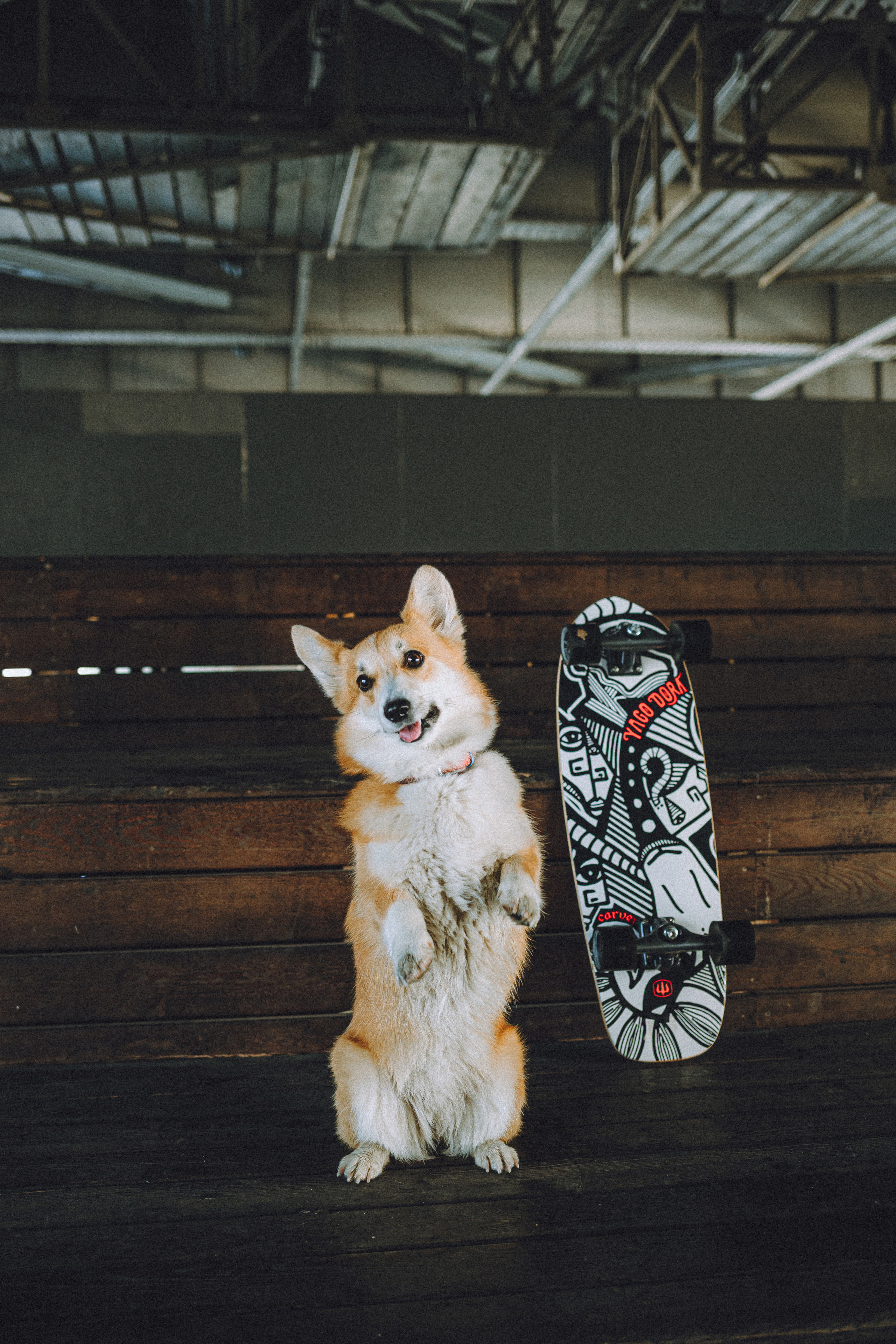 Маша и Нейси