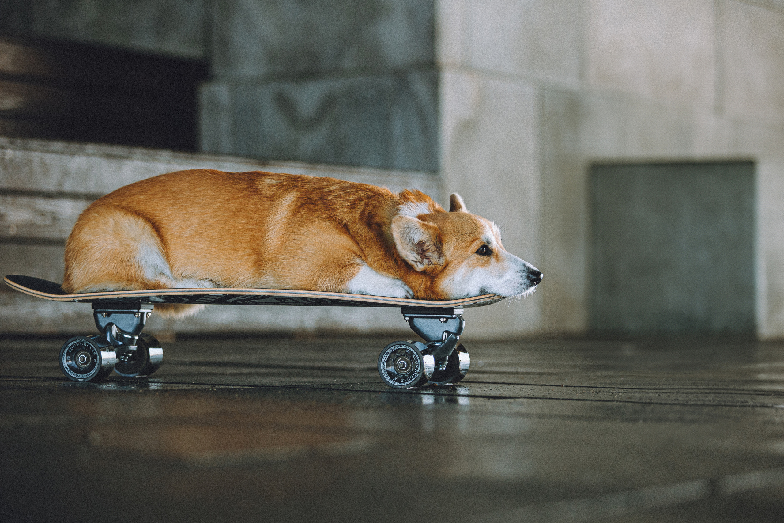 Маша и Нейси