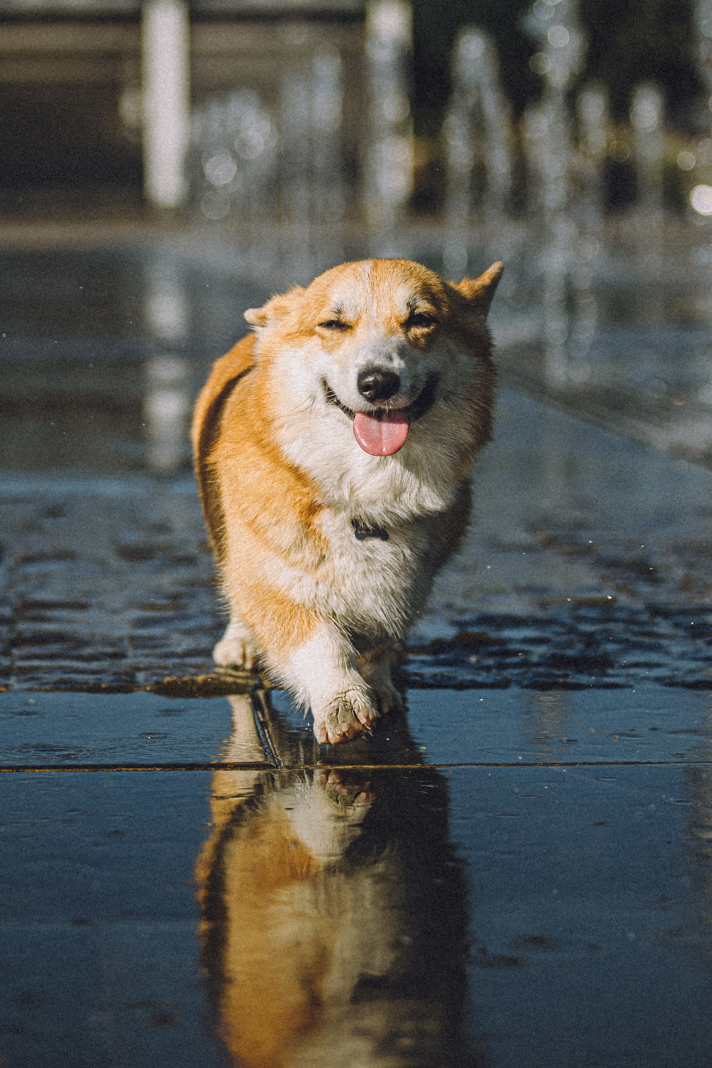 Маша и Нейси