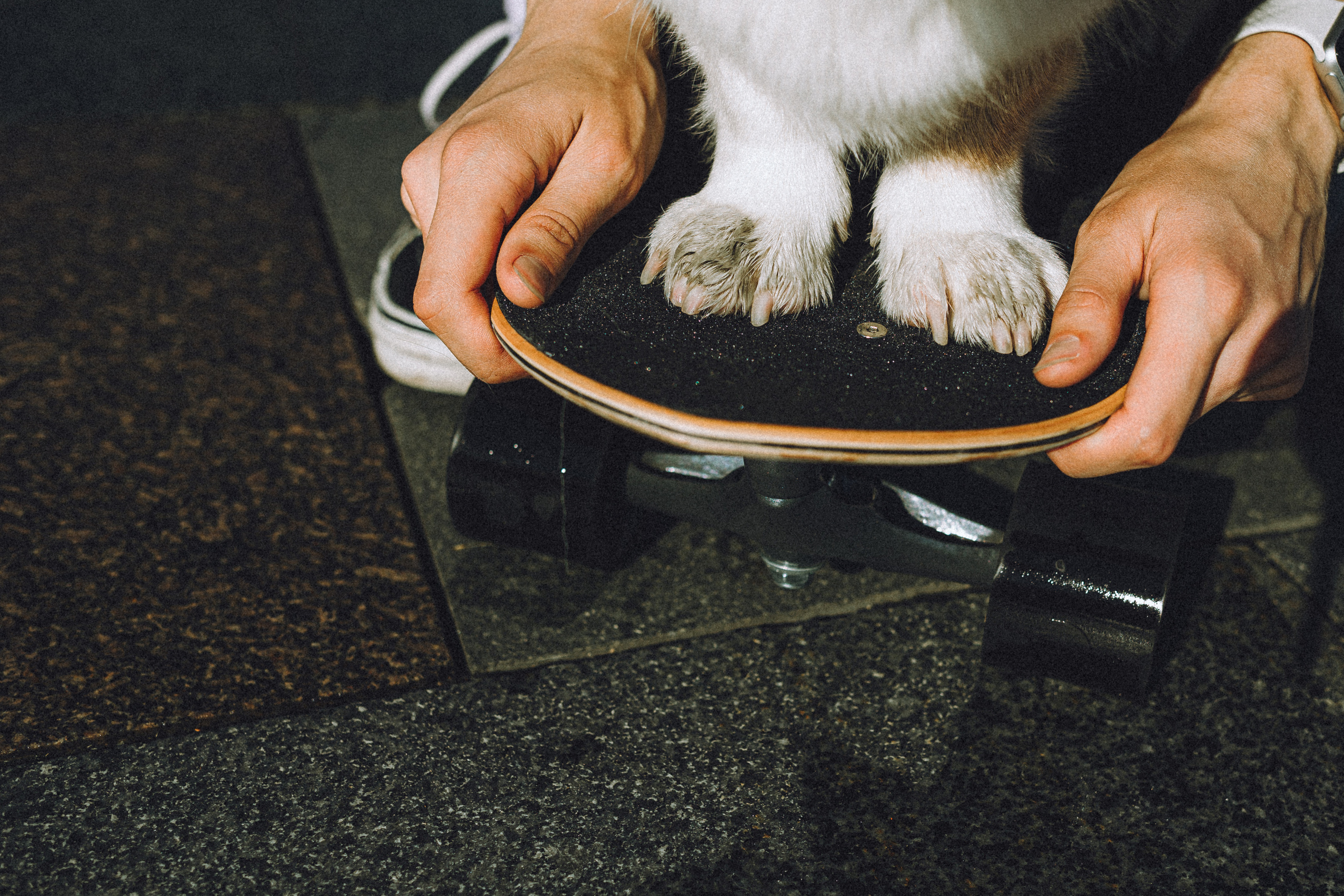 Маша и Нейси