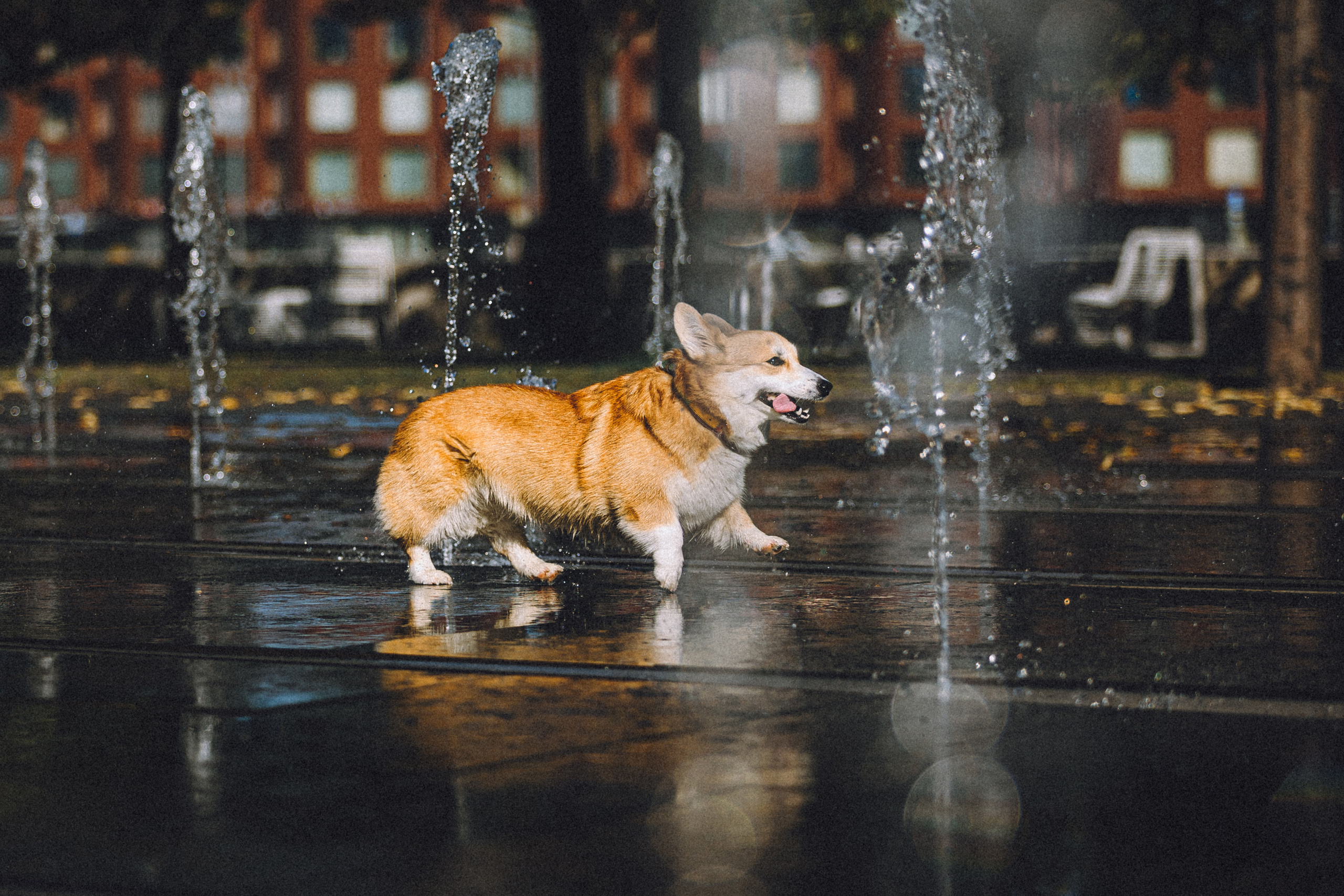 Маша и Нейси