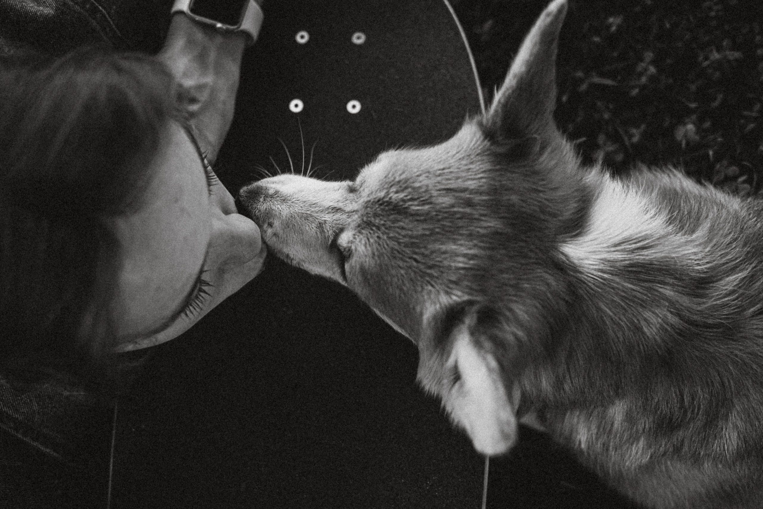 Маша и Нейси