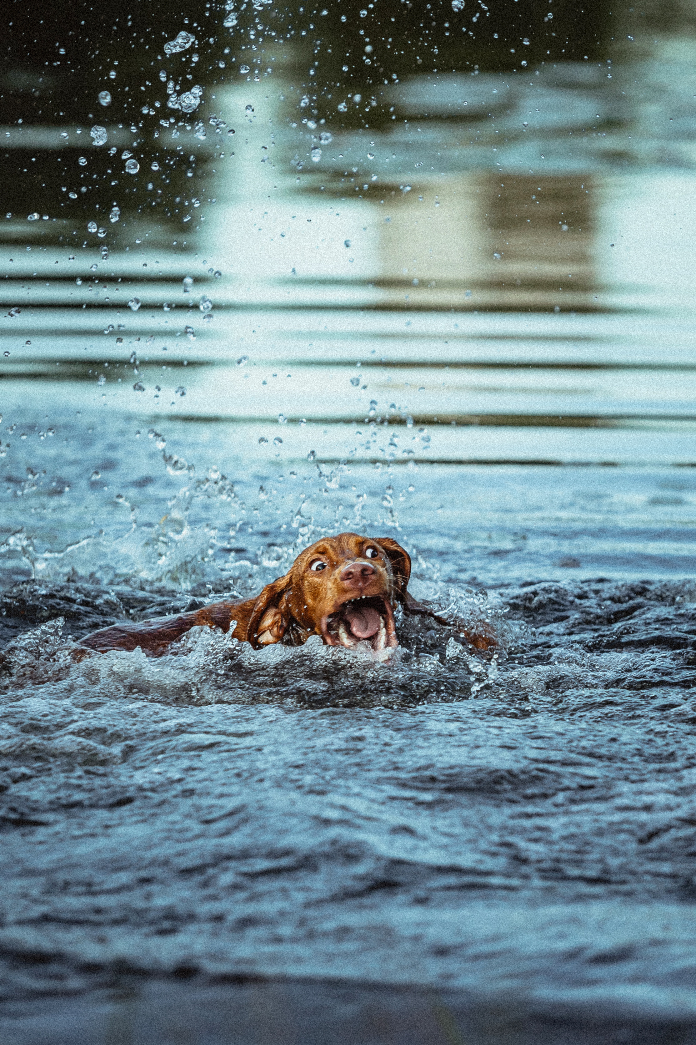 Катя, Артем и Руби