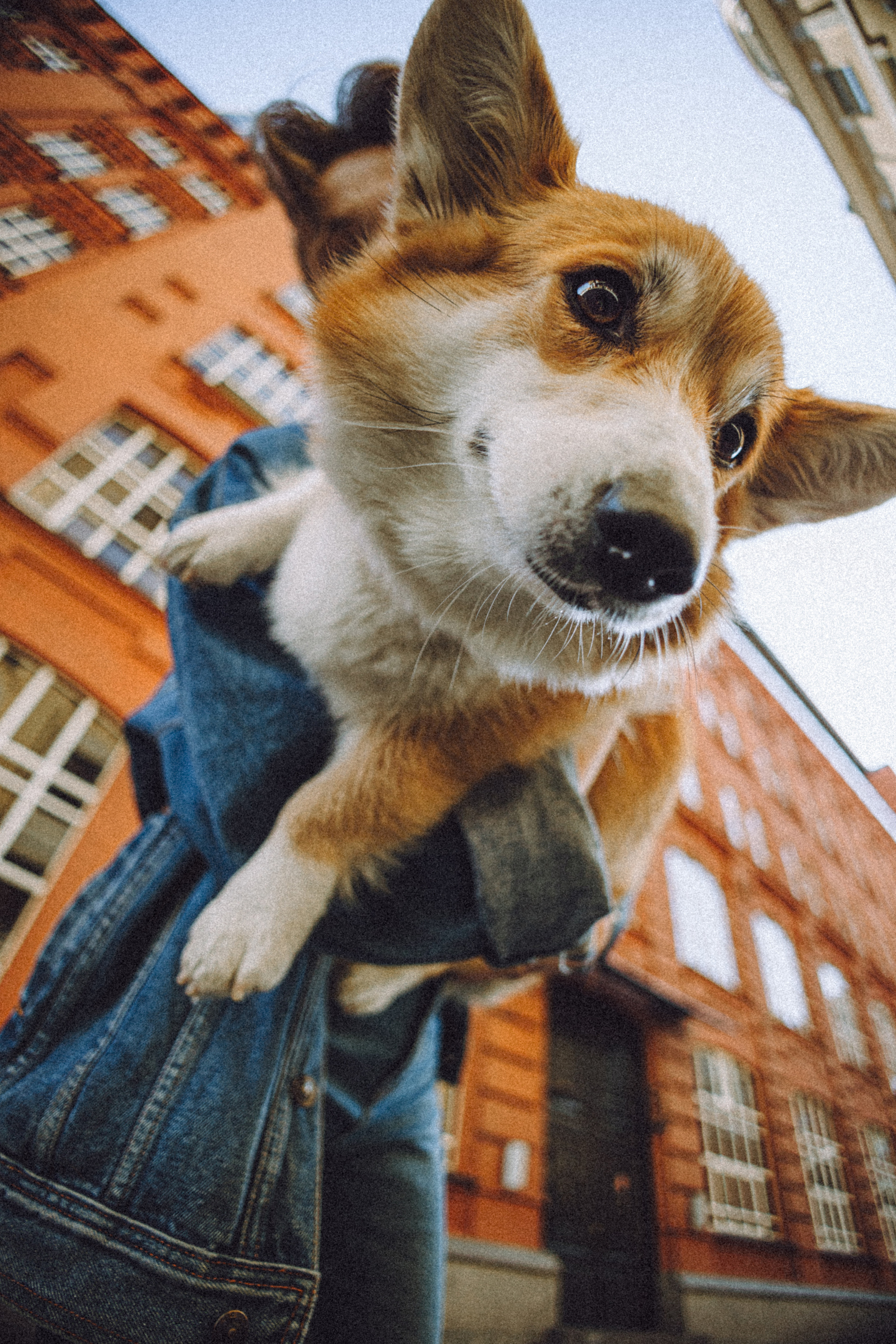 Маша и Нейси