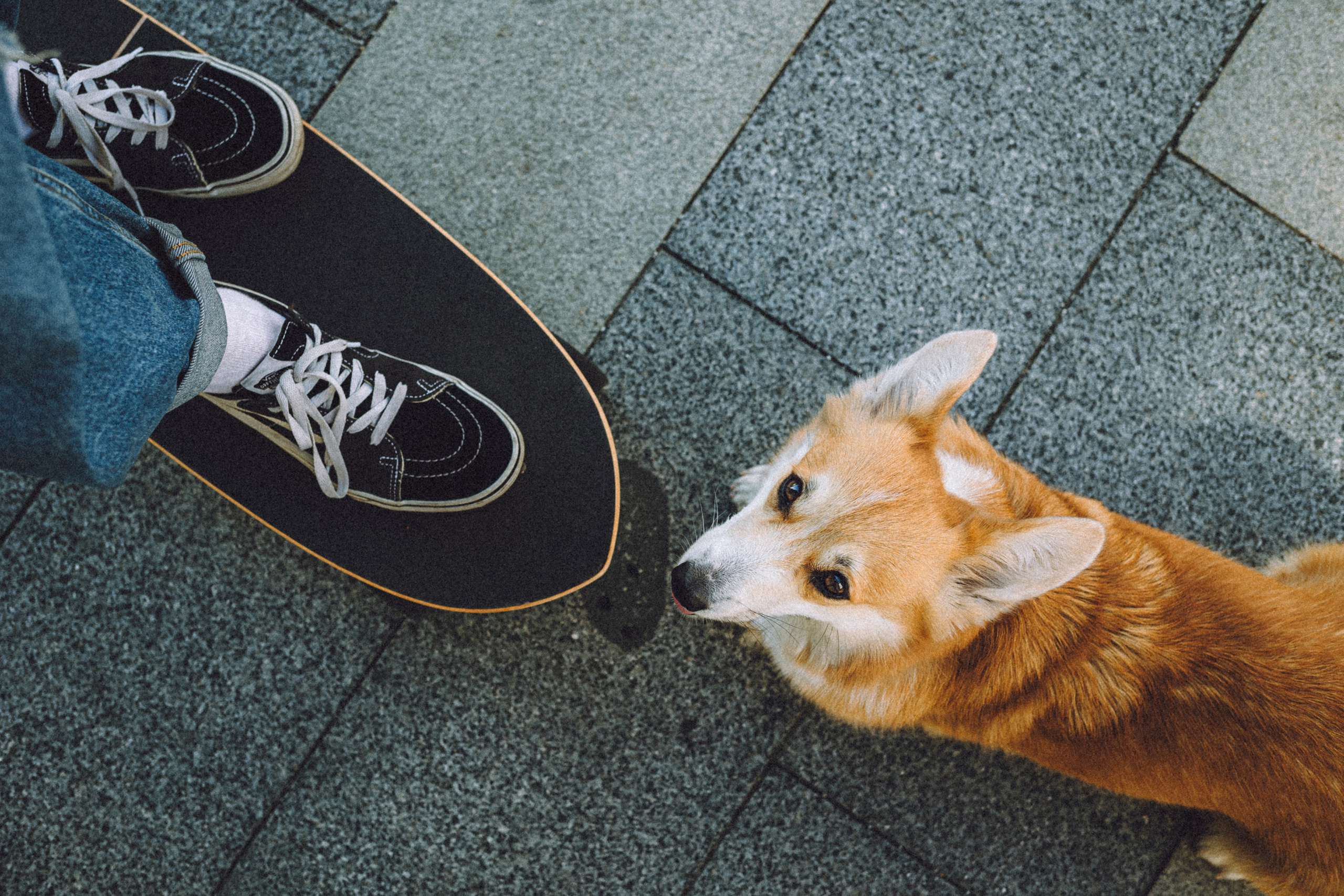 Маша и Нейси