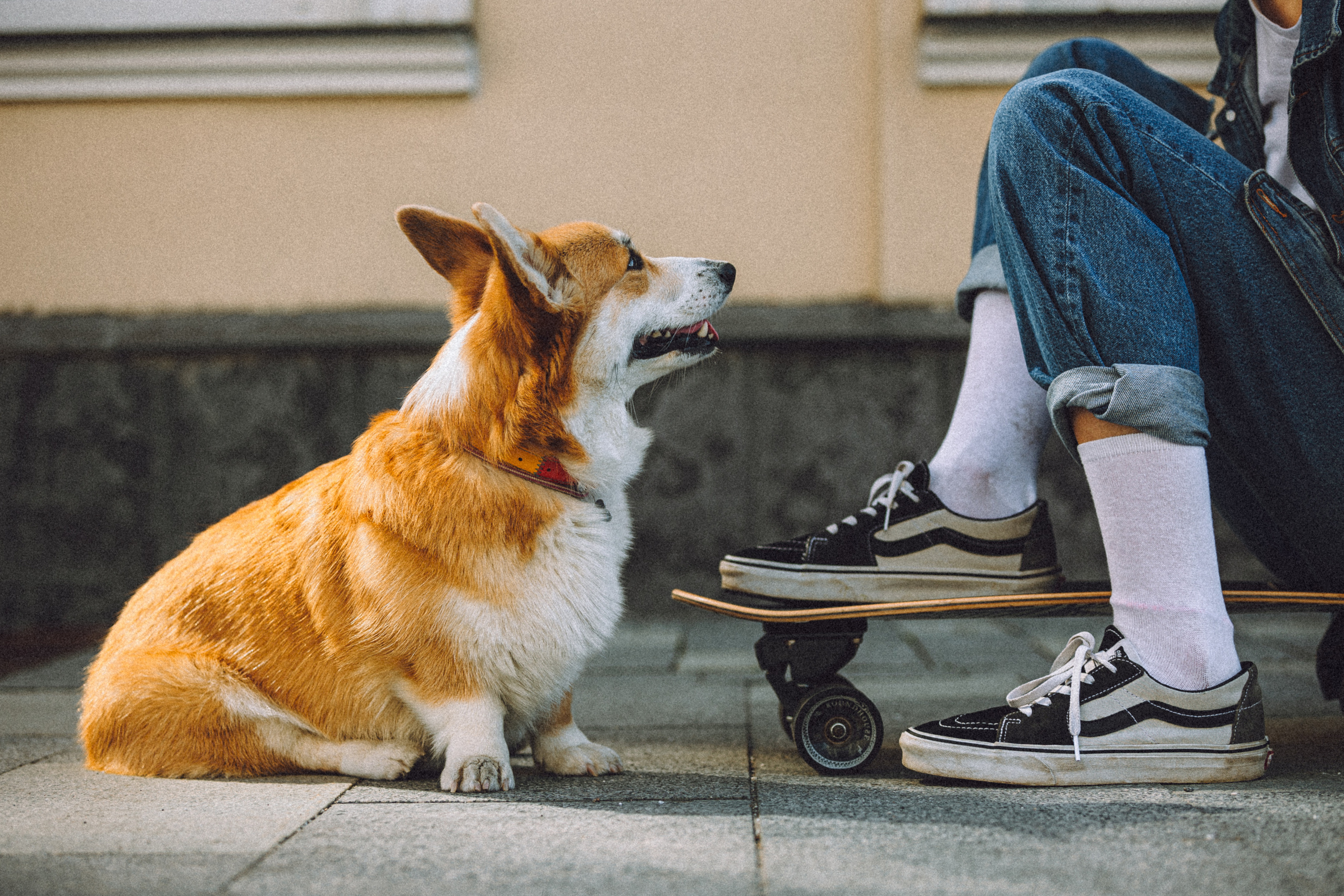 Маша и Нейси