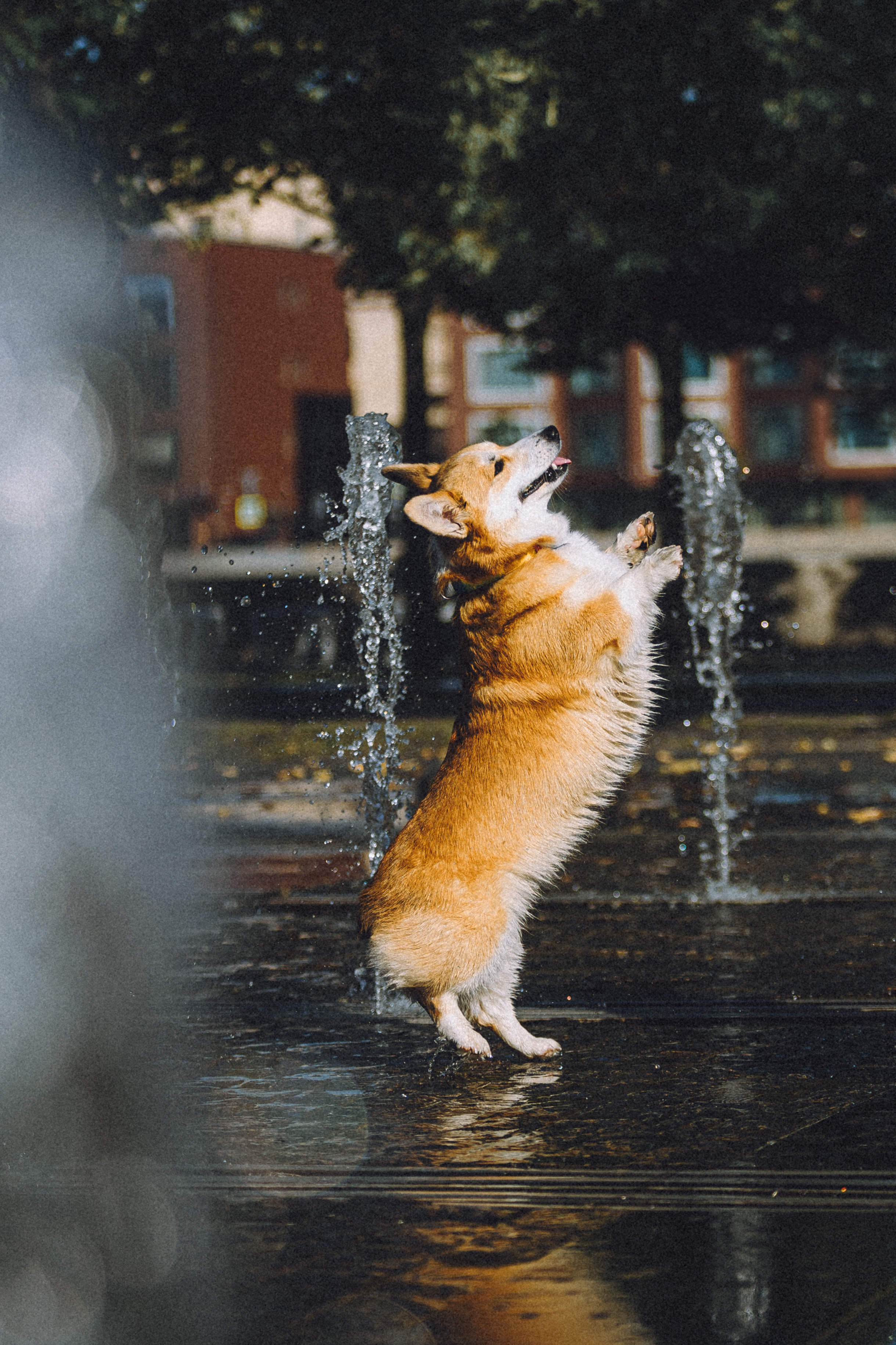 Маша и Нейси