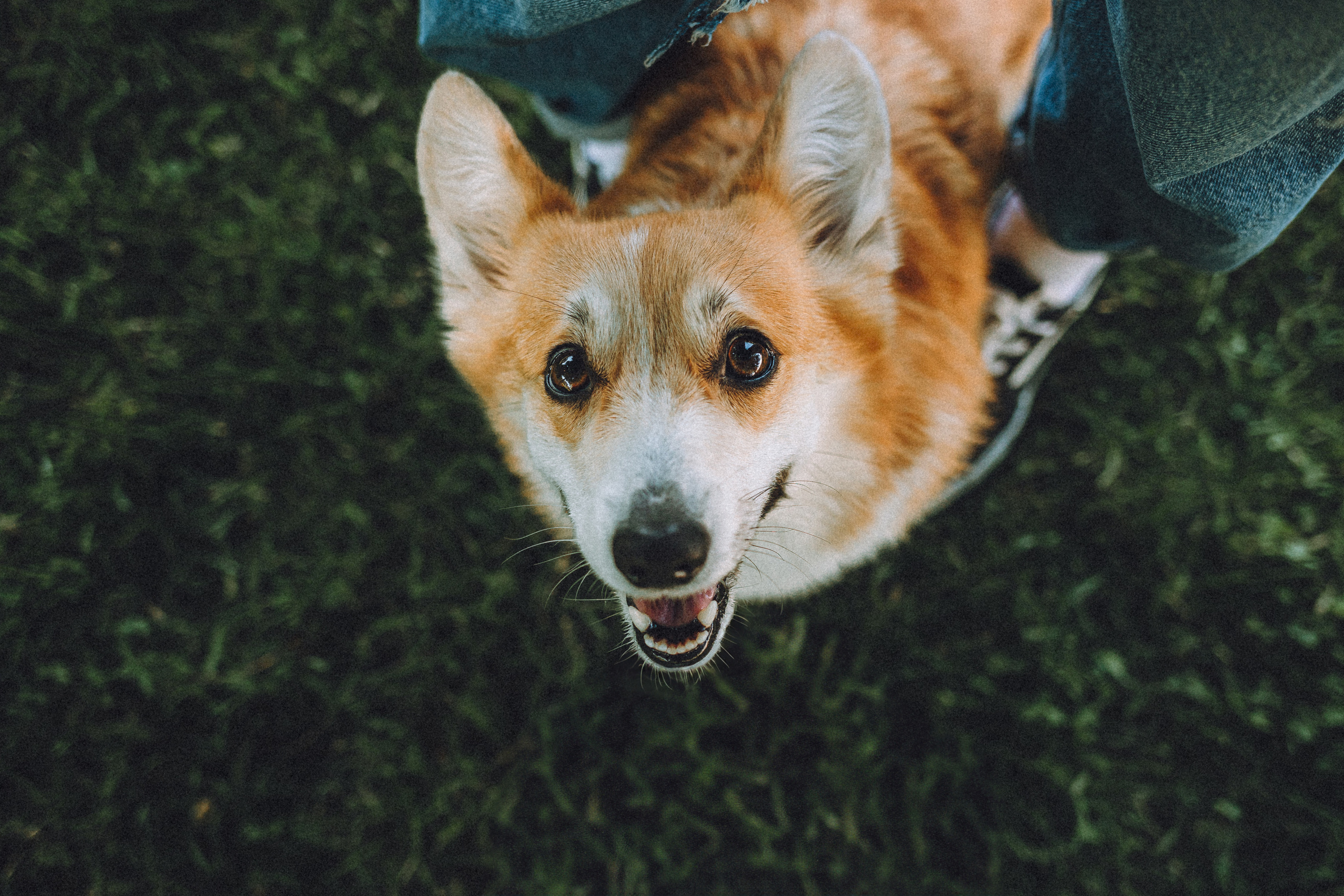 Маша и Нейси