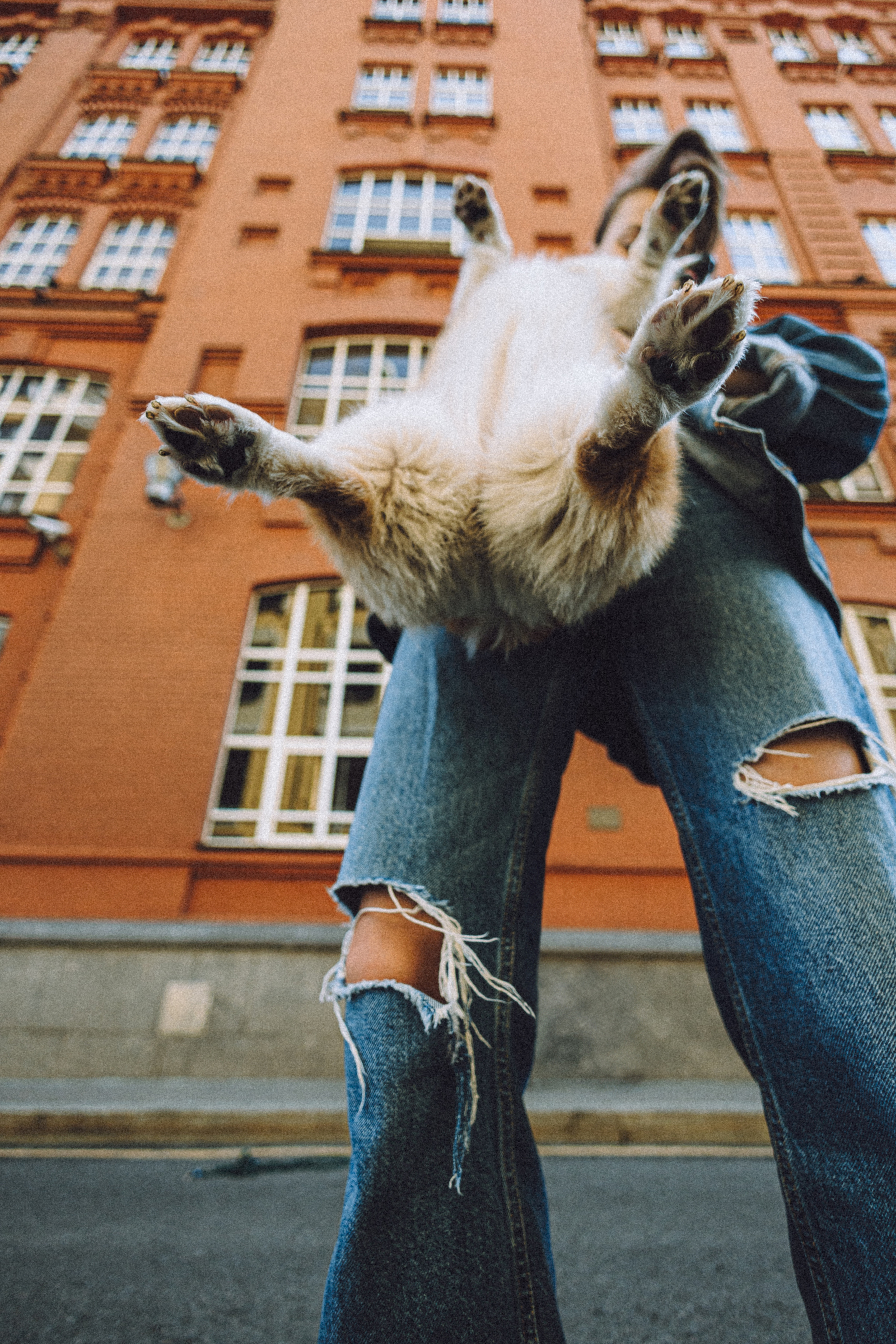 Маша и Нейси