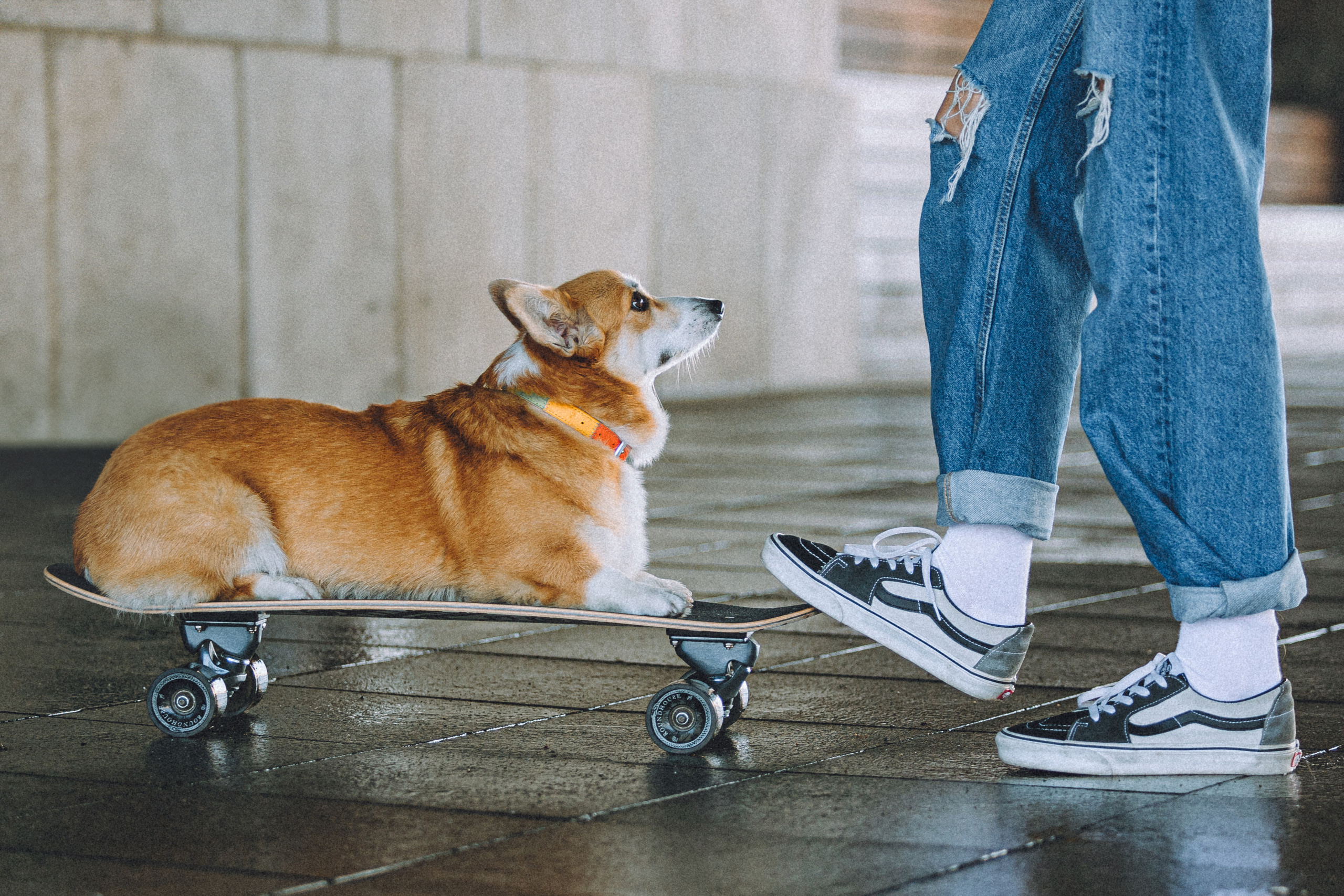 Маша и Нейси