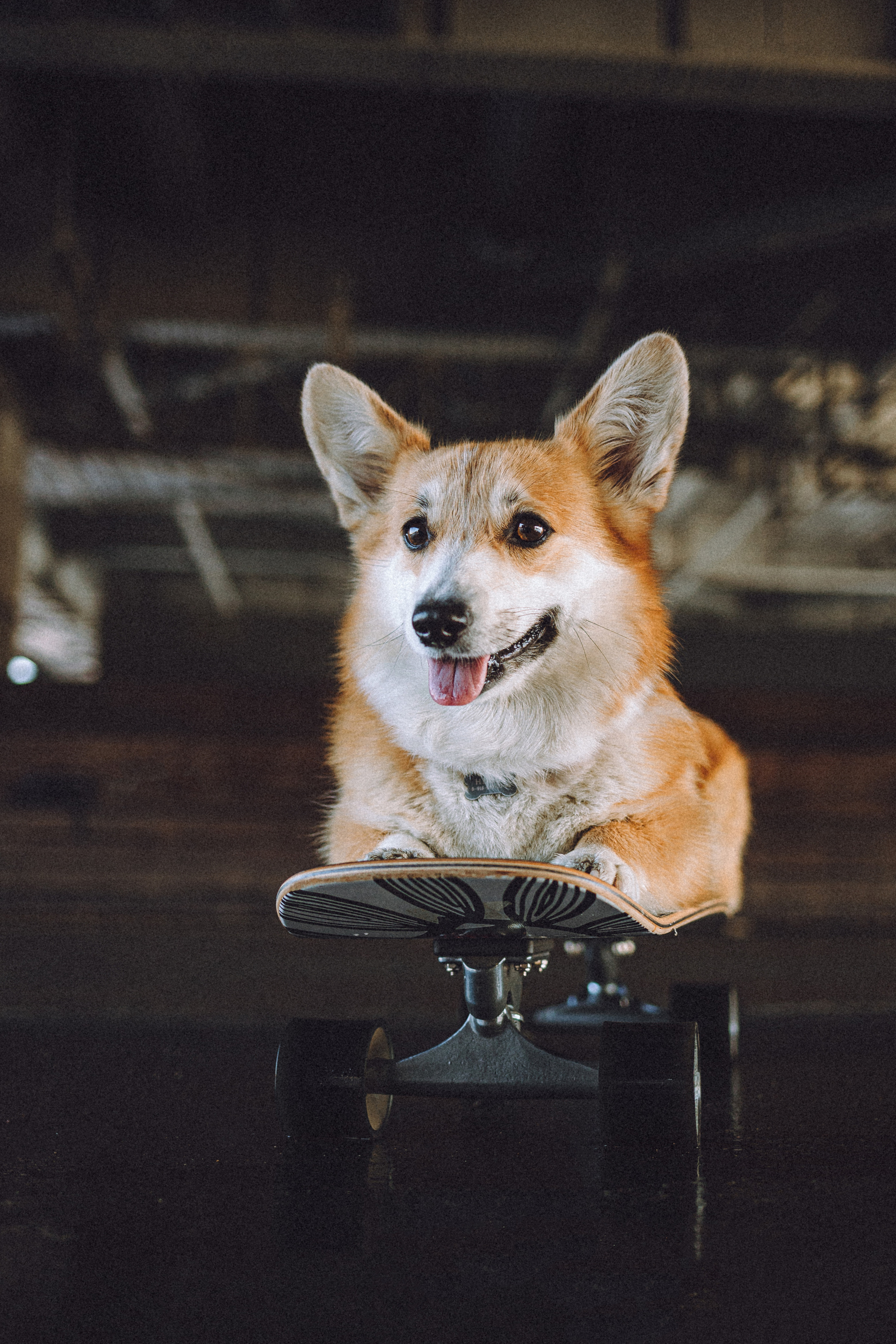 Маша и Нейси