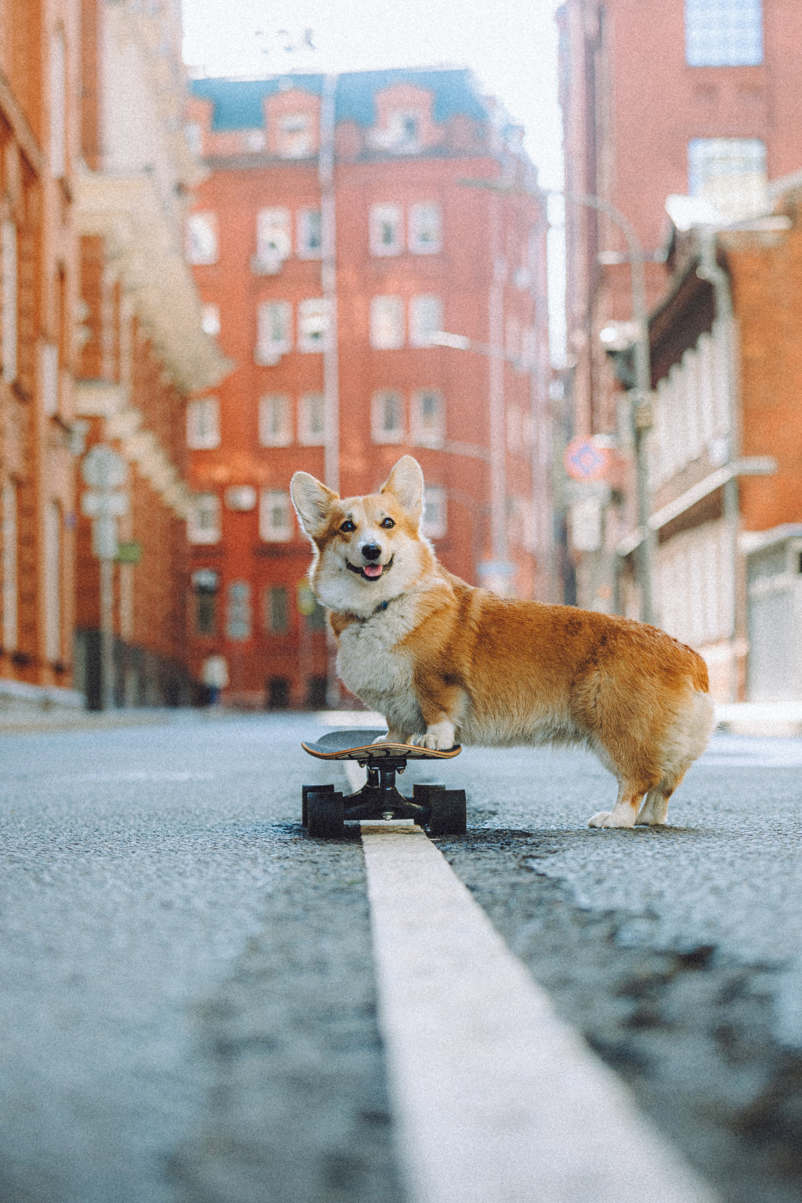 Маша и Нейси