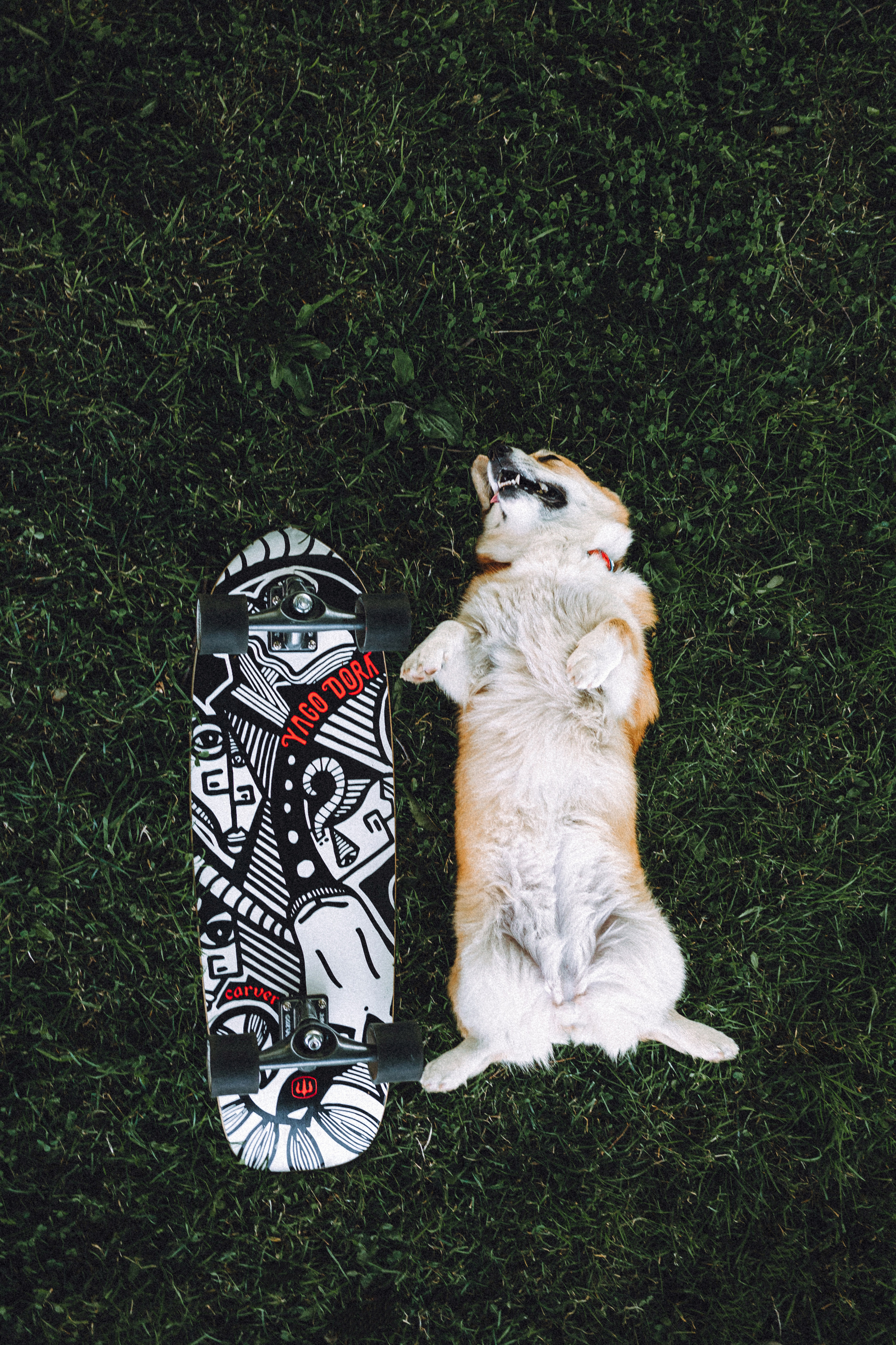 Маша и Нейси