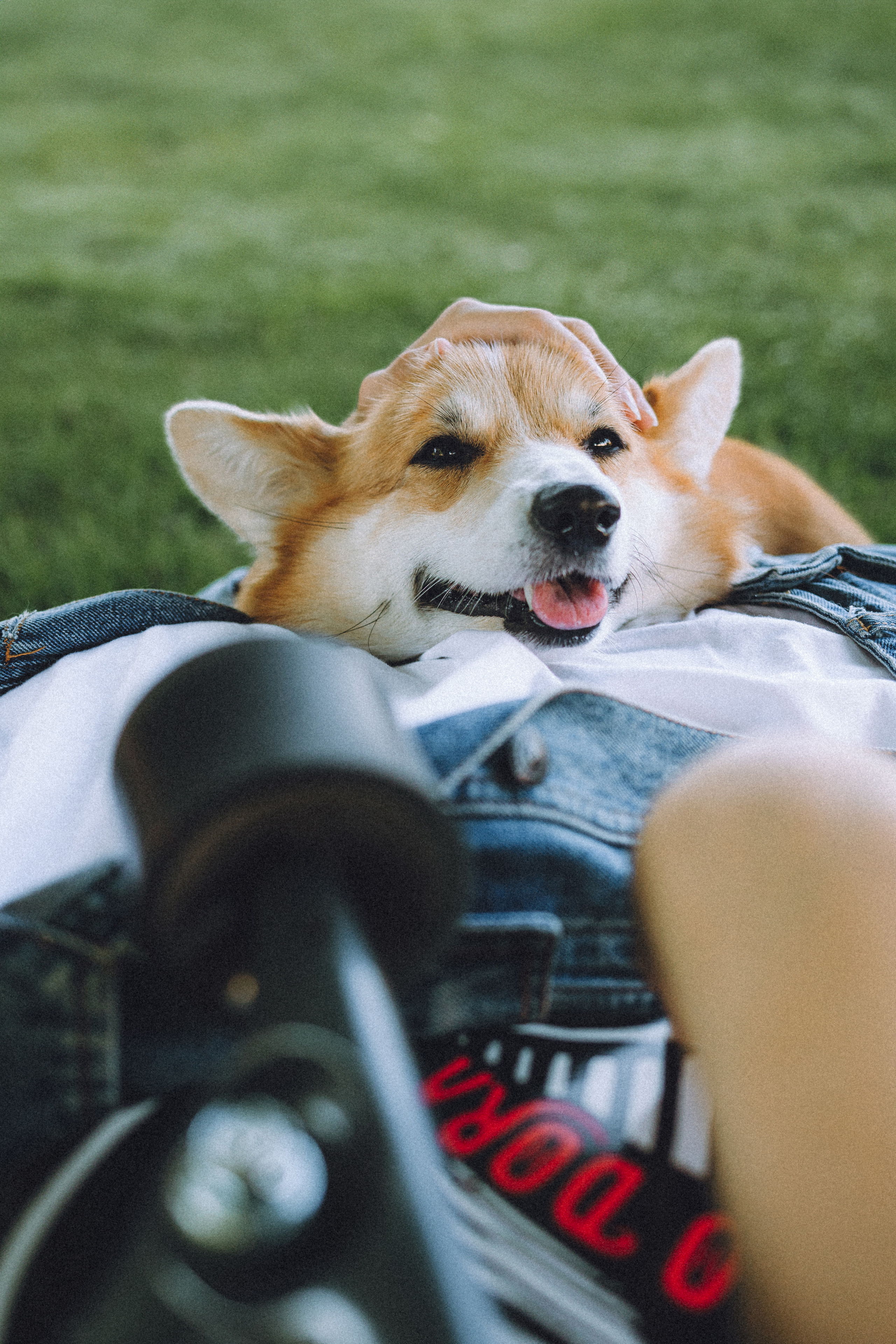 Маша и Нейси