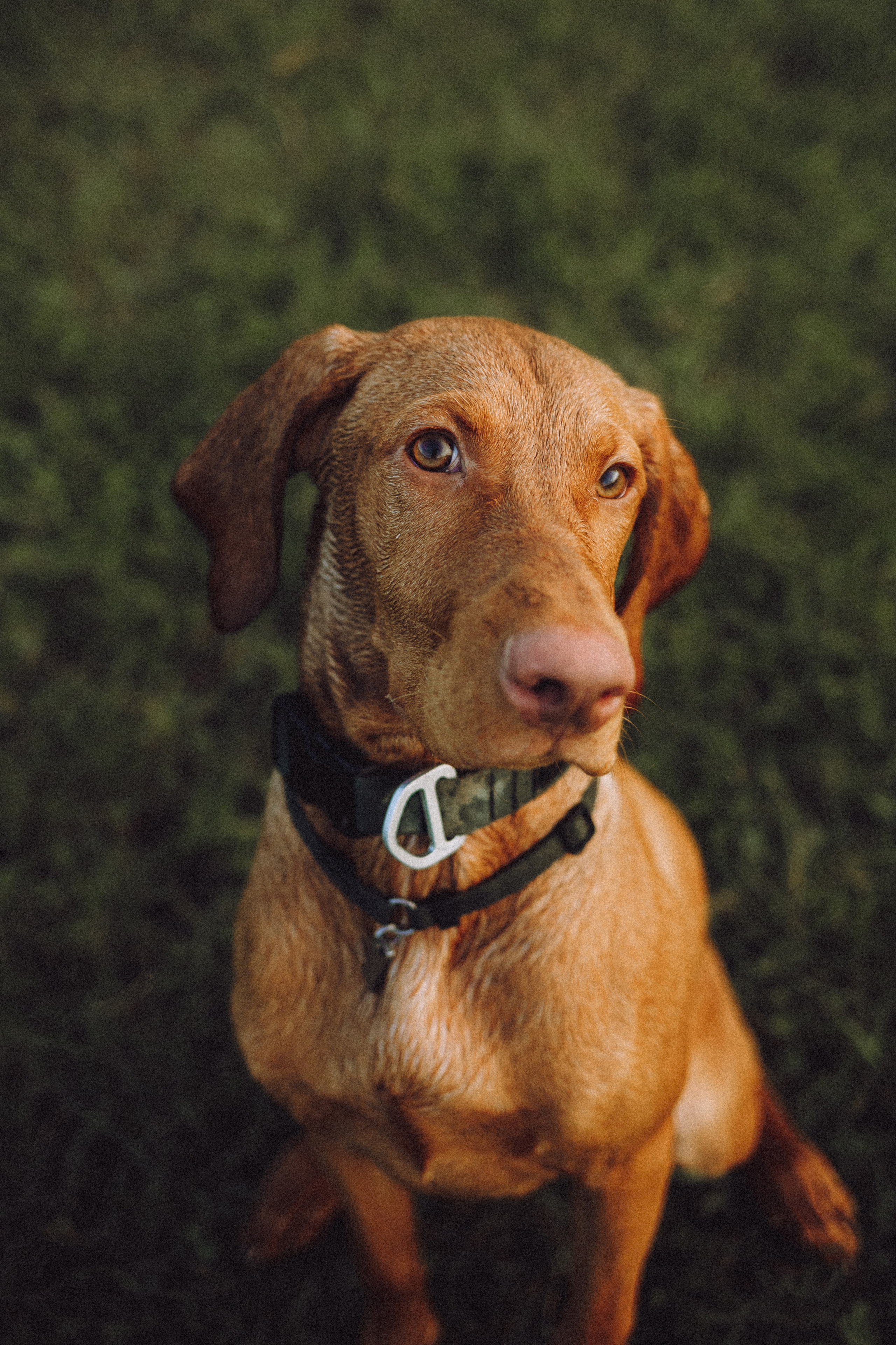 Катя, Артем и Руби