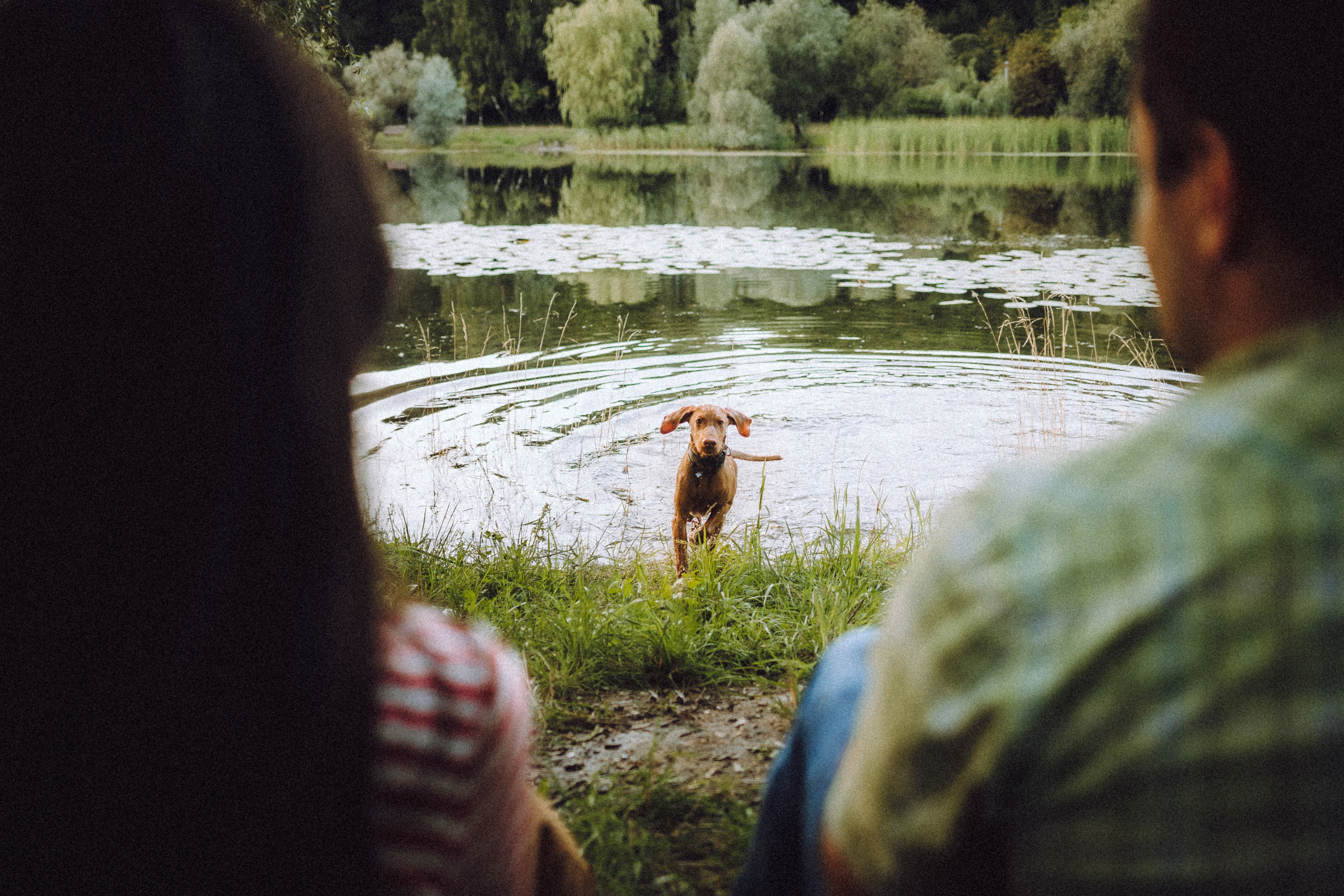 Катя, Артем и Руби