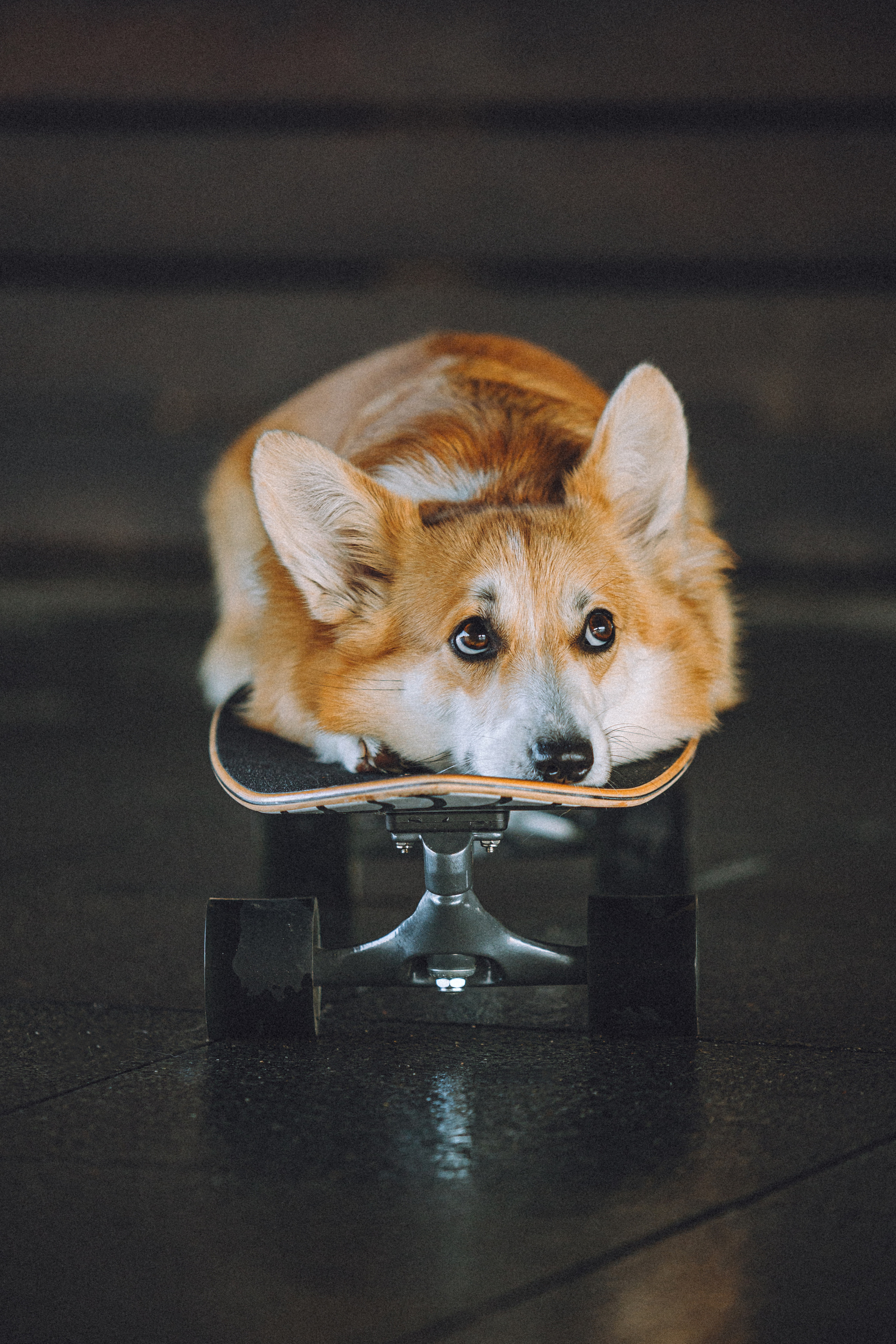 Маша и Нейси