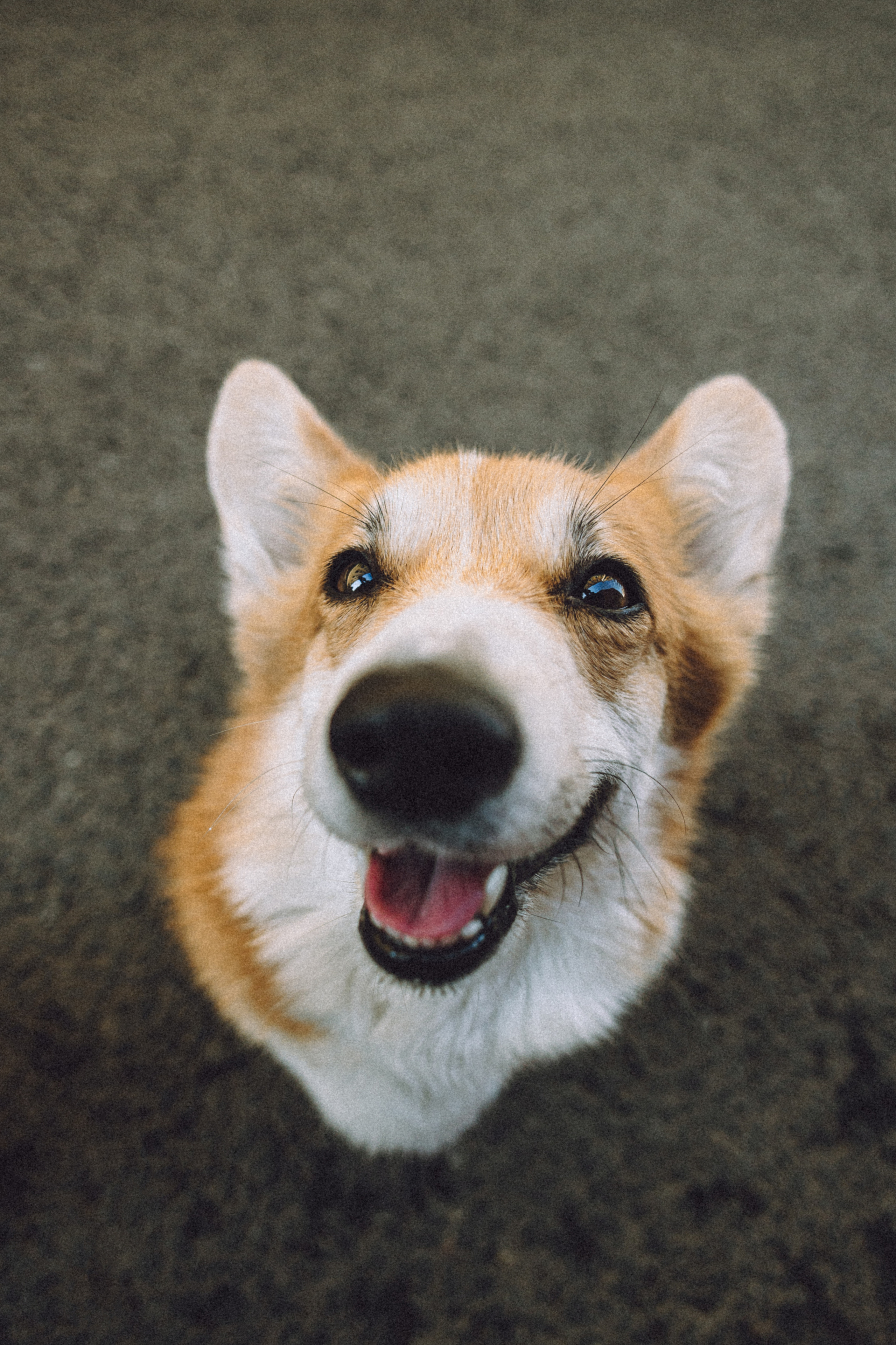 Маша и Нейси