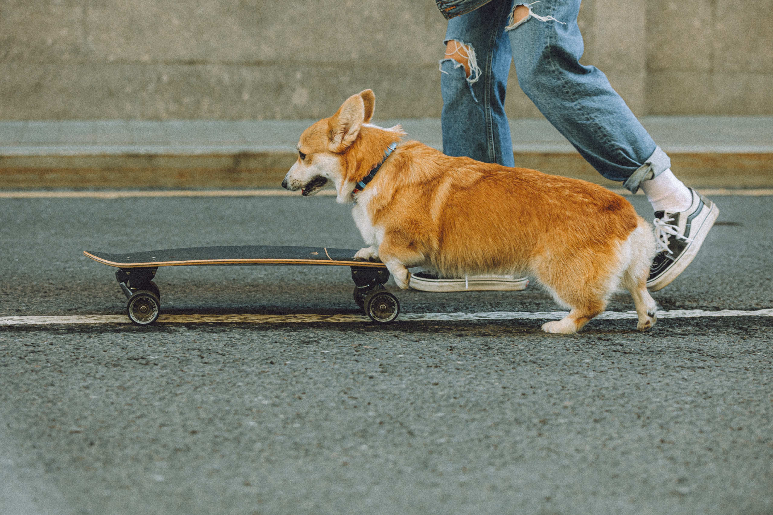 Маша и Нейси