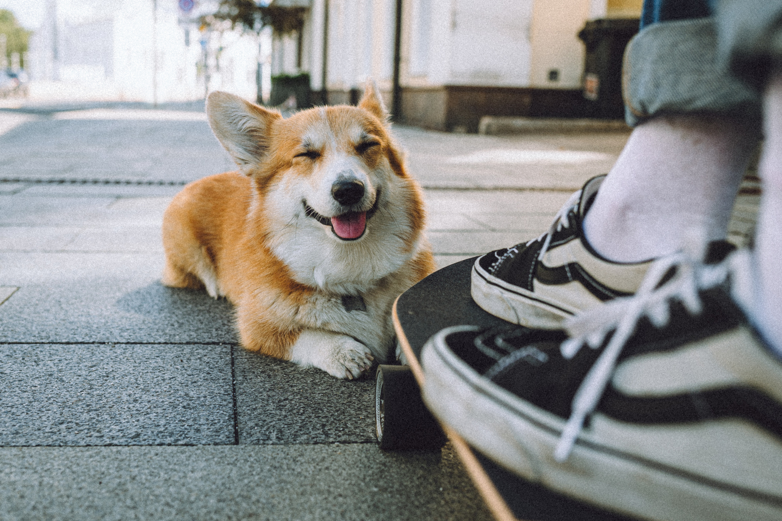 Маша и Нейси