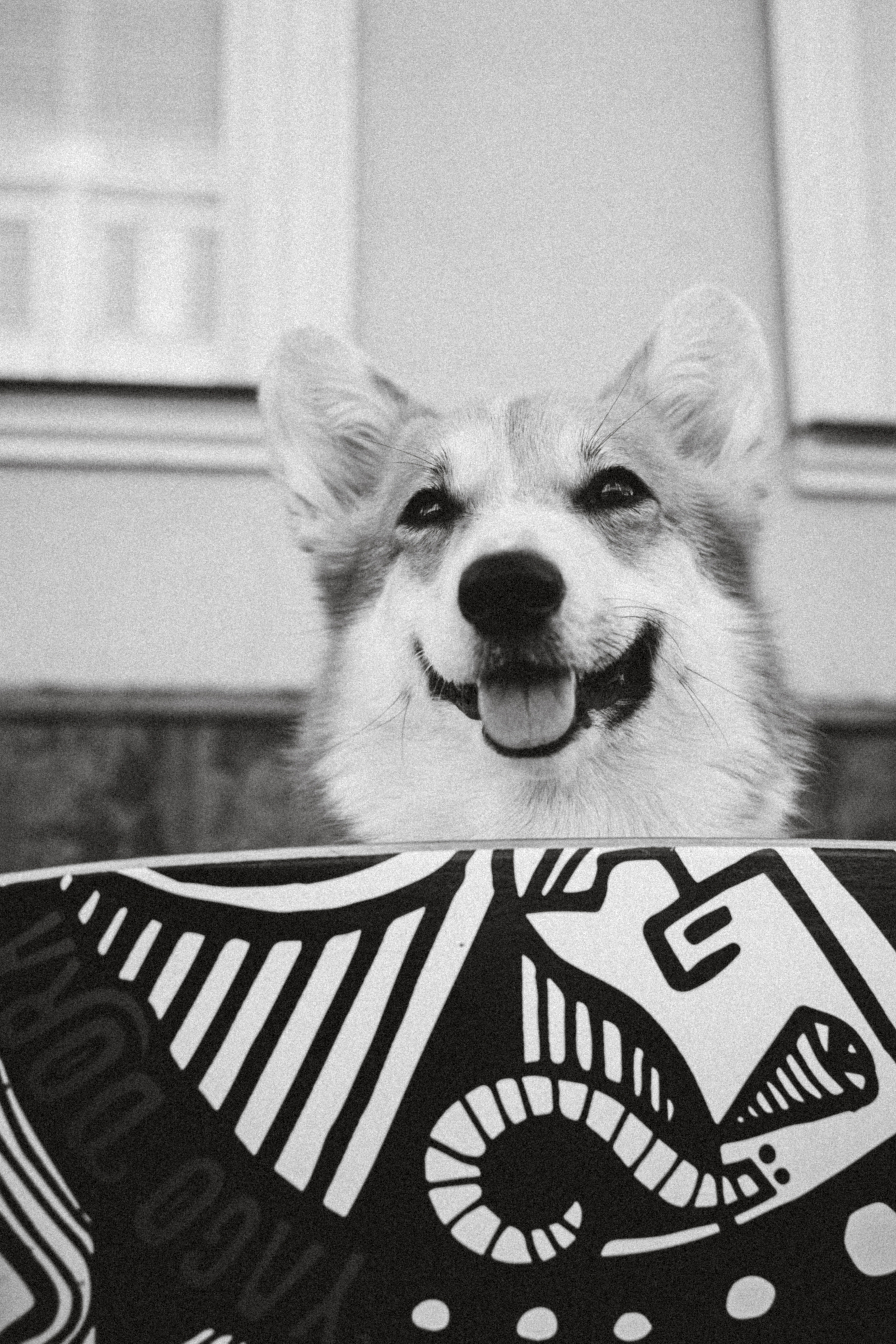 Маша и Нейси