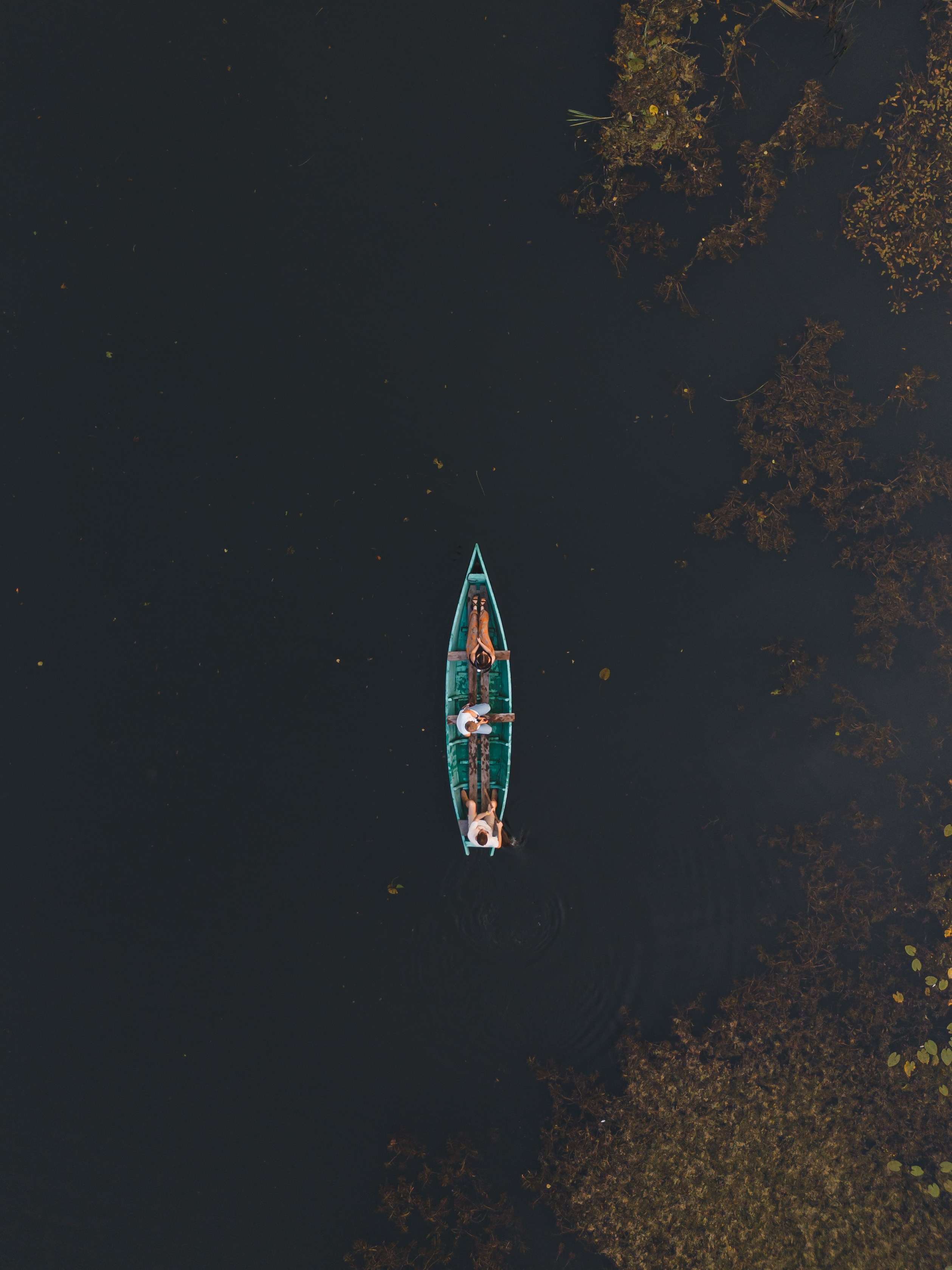 Общественные и культурные события. Наталья Летунова — репортажный фотограф