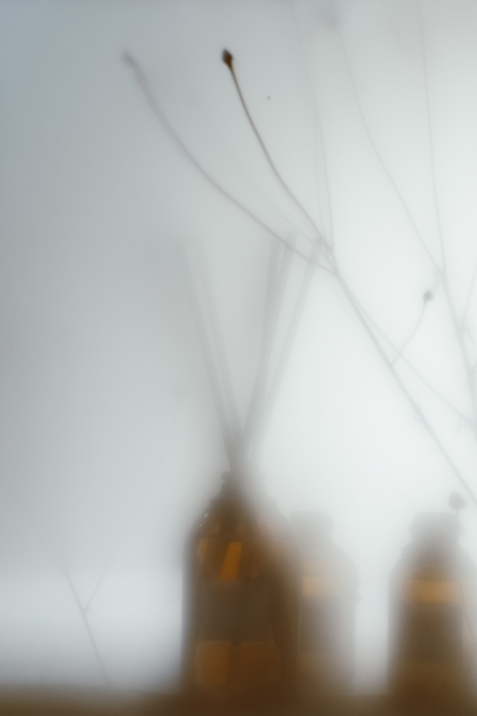 Рекламные фотографии парфюмерии