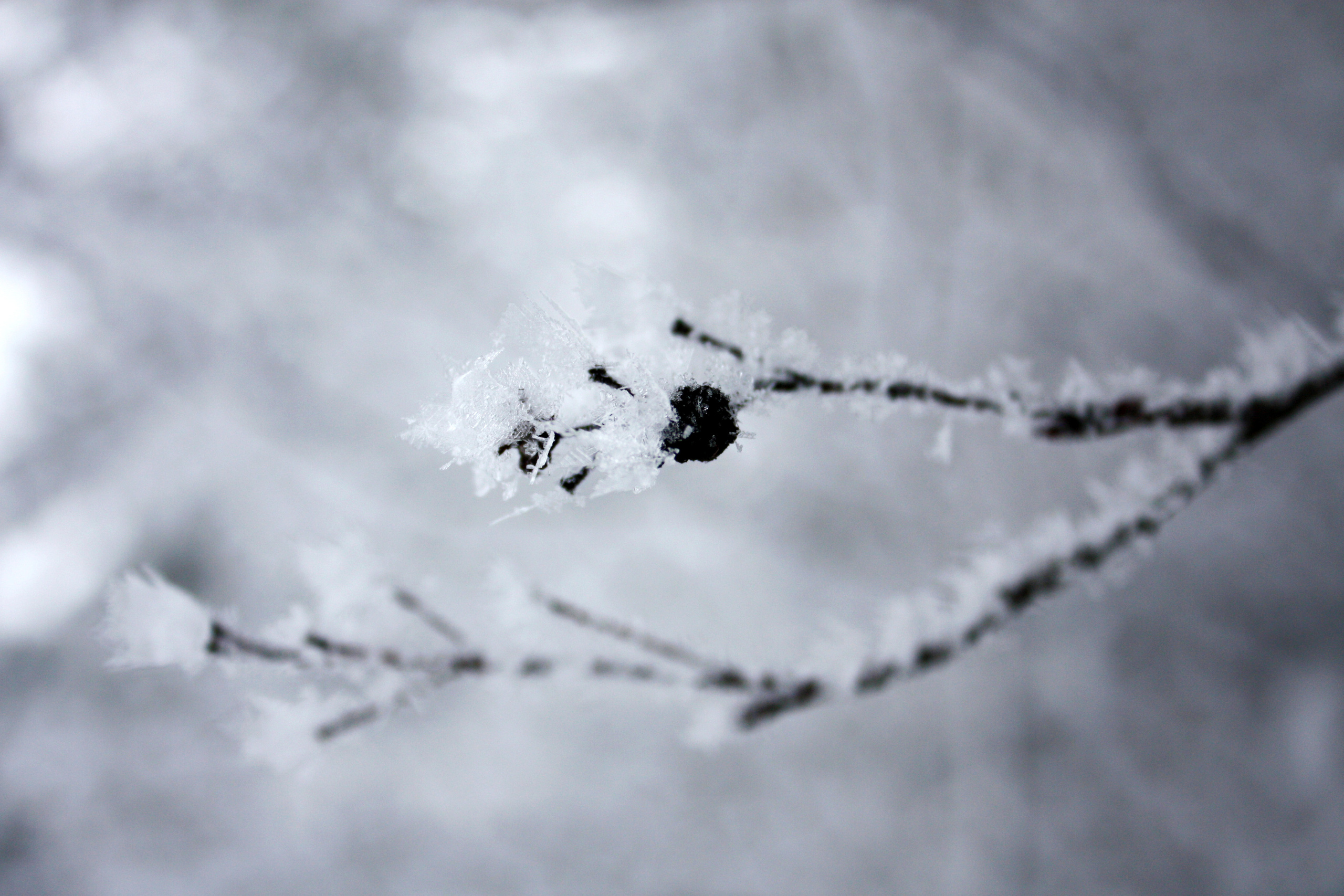 Разное. Фотограф и ретушер Маргарита Павлюк Москва