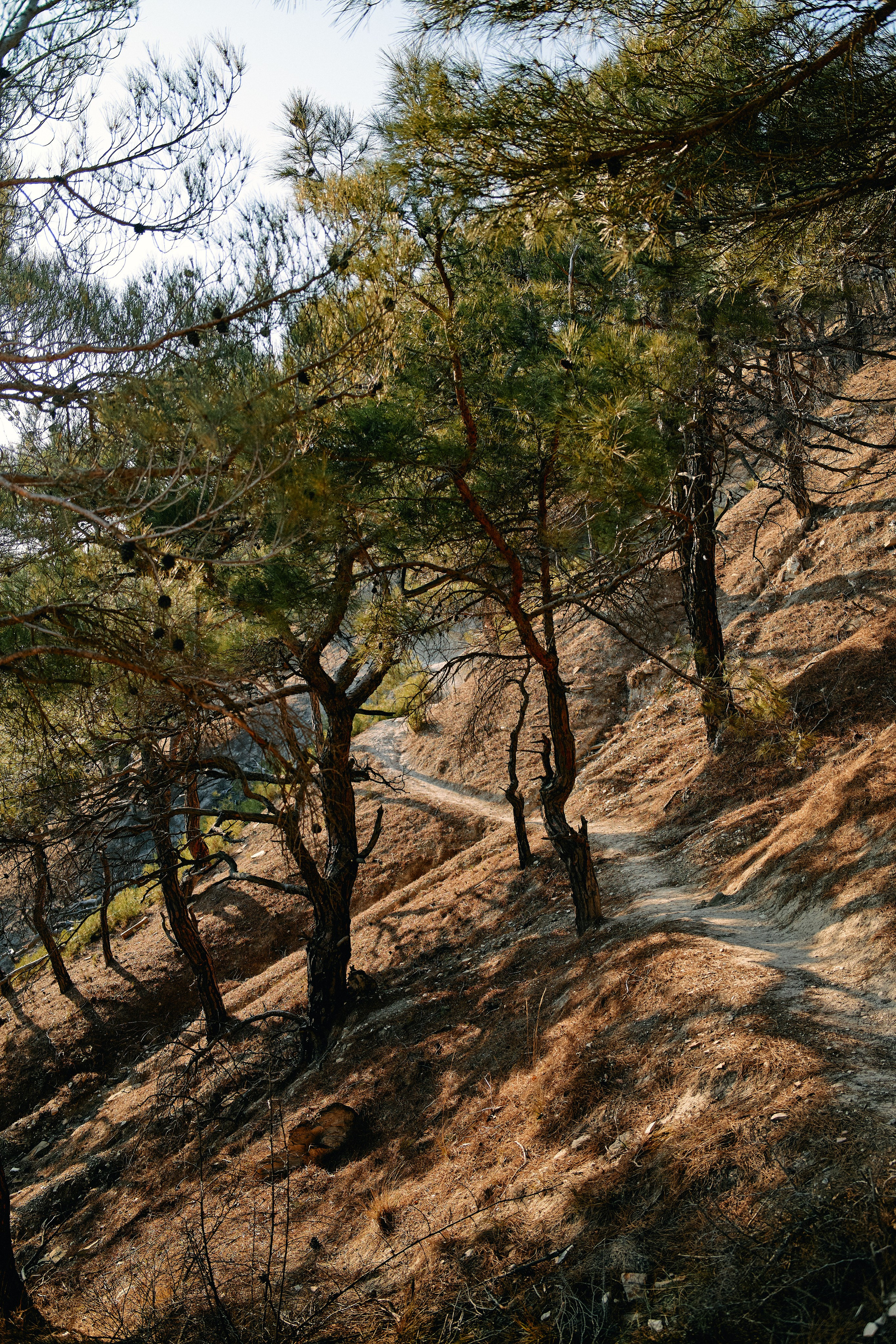 Юг России. Профессиональный Фотограф во Владимире, в Москве и в Суздале — Полина Романычева