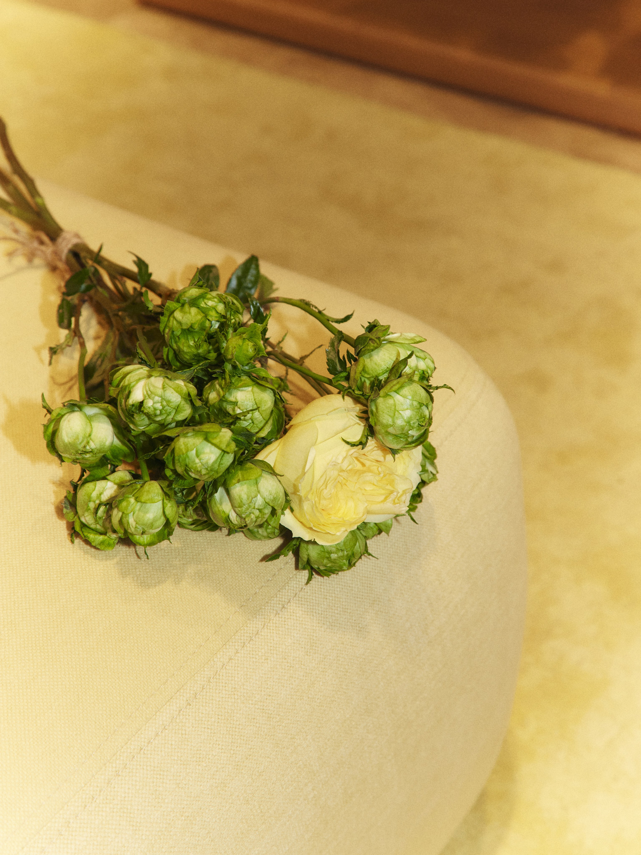 CHAIKA store opening in Tsvetnoy. Photographer Daria Ilkevich