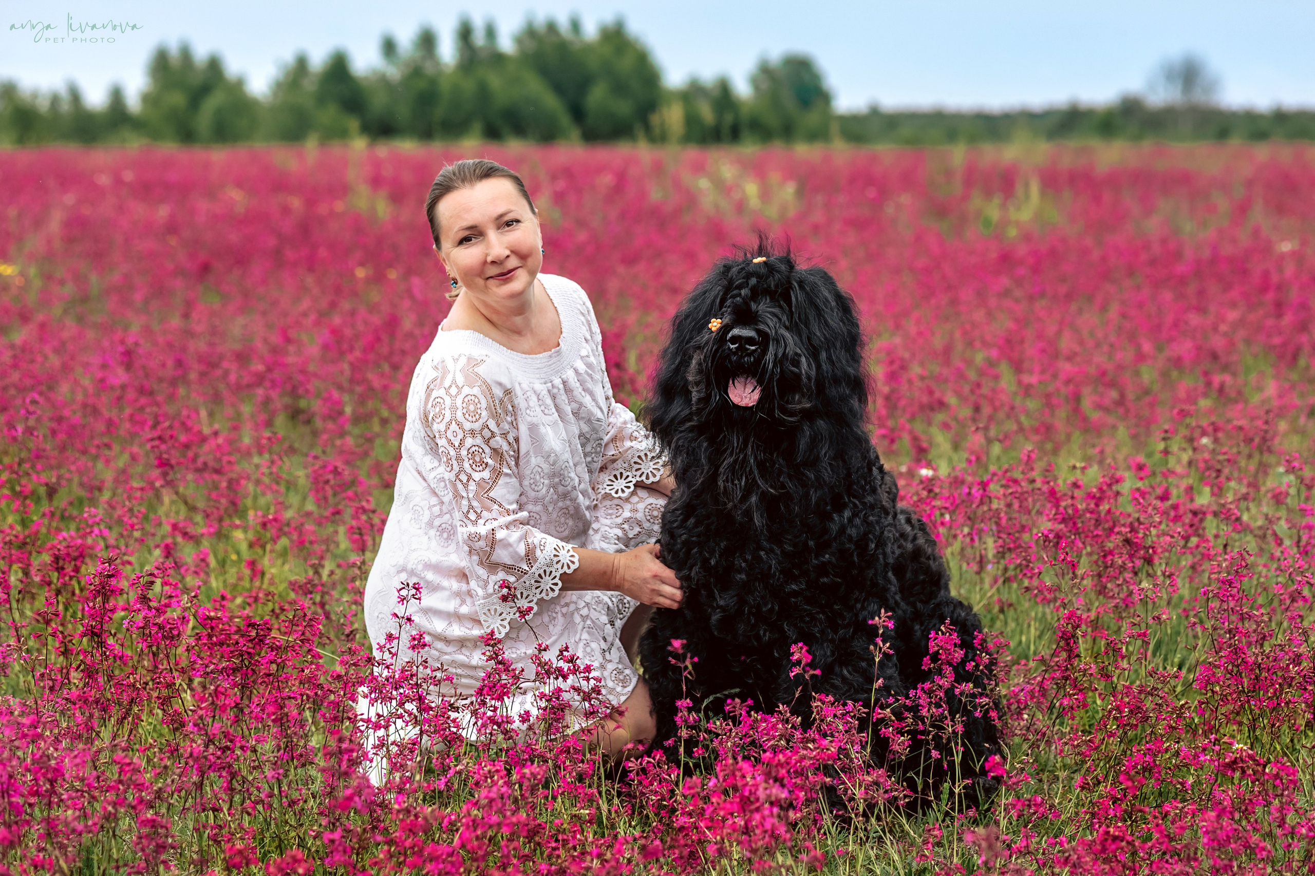 Смолка клейкая. Фотограф анималист Аня Ливанова | Рыбинск