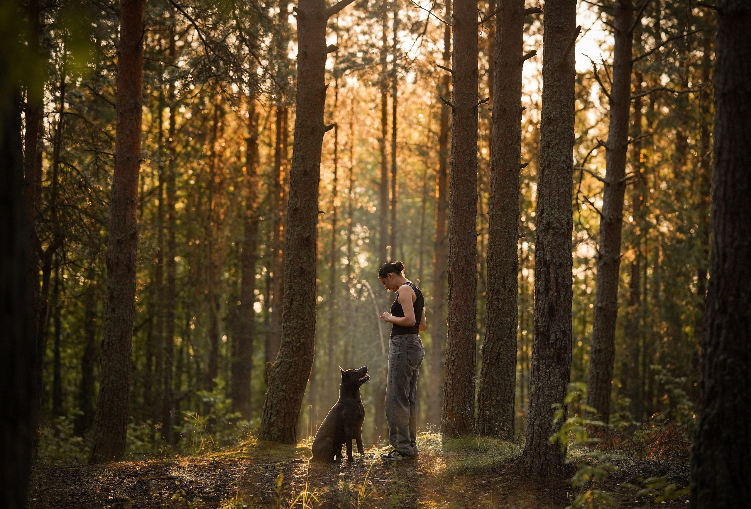 Вероника и Адам. Фотограф-анималист в Санкт-Петербурге Яна Мартынова