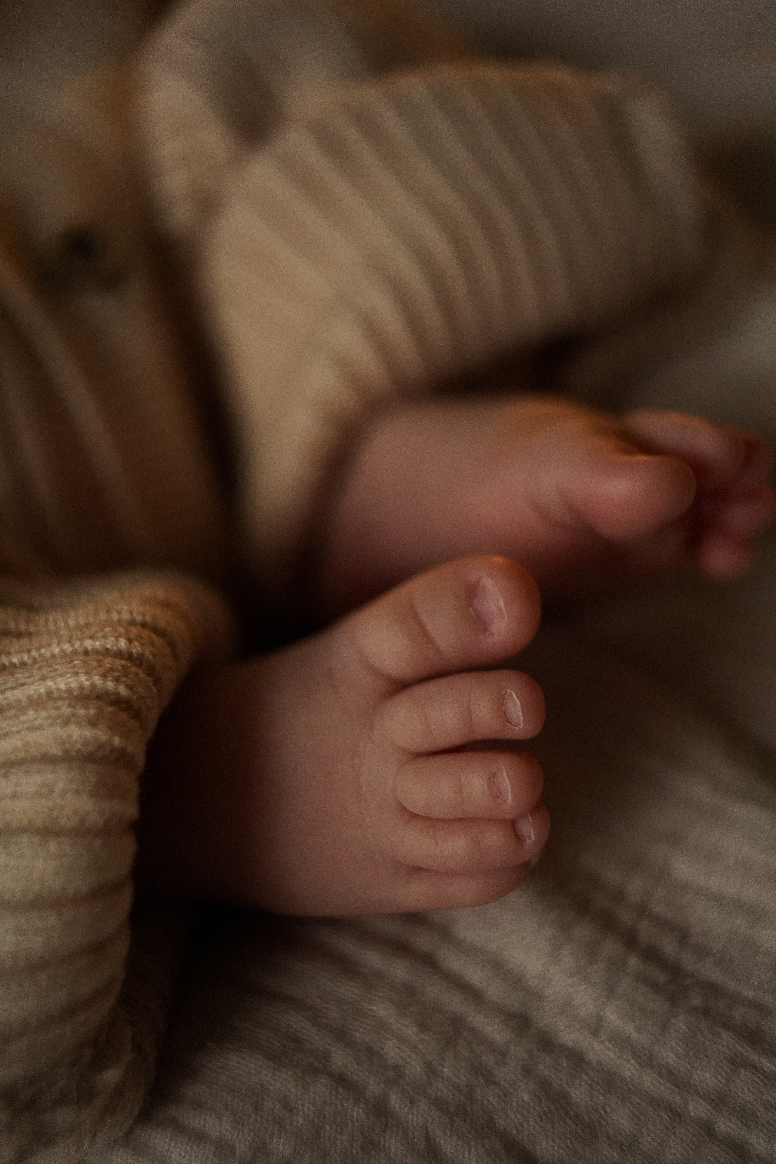 Юля и София: новогодняя история. Семейный фотограф в Северодвинске и Архангельске Наталья Проничева